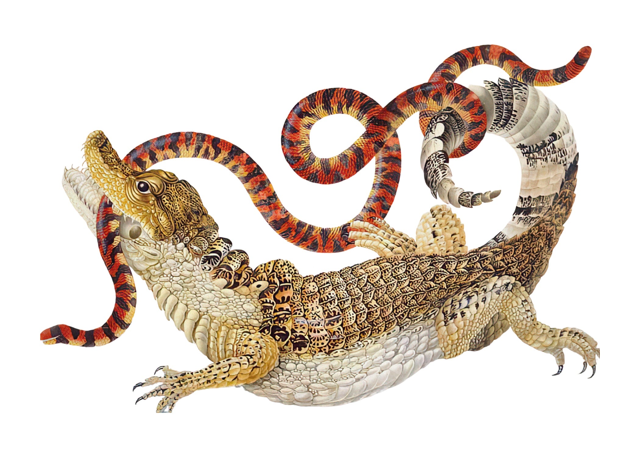 ANIMAL 4