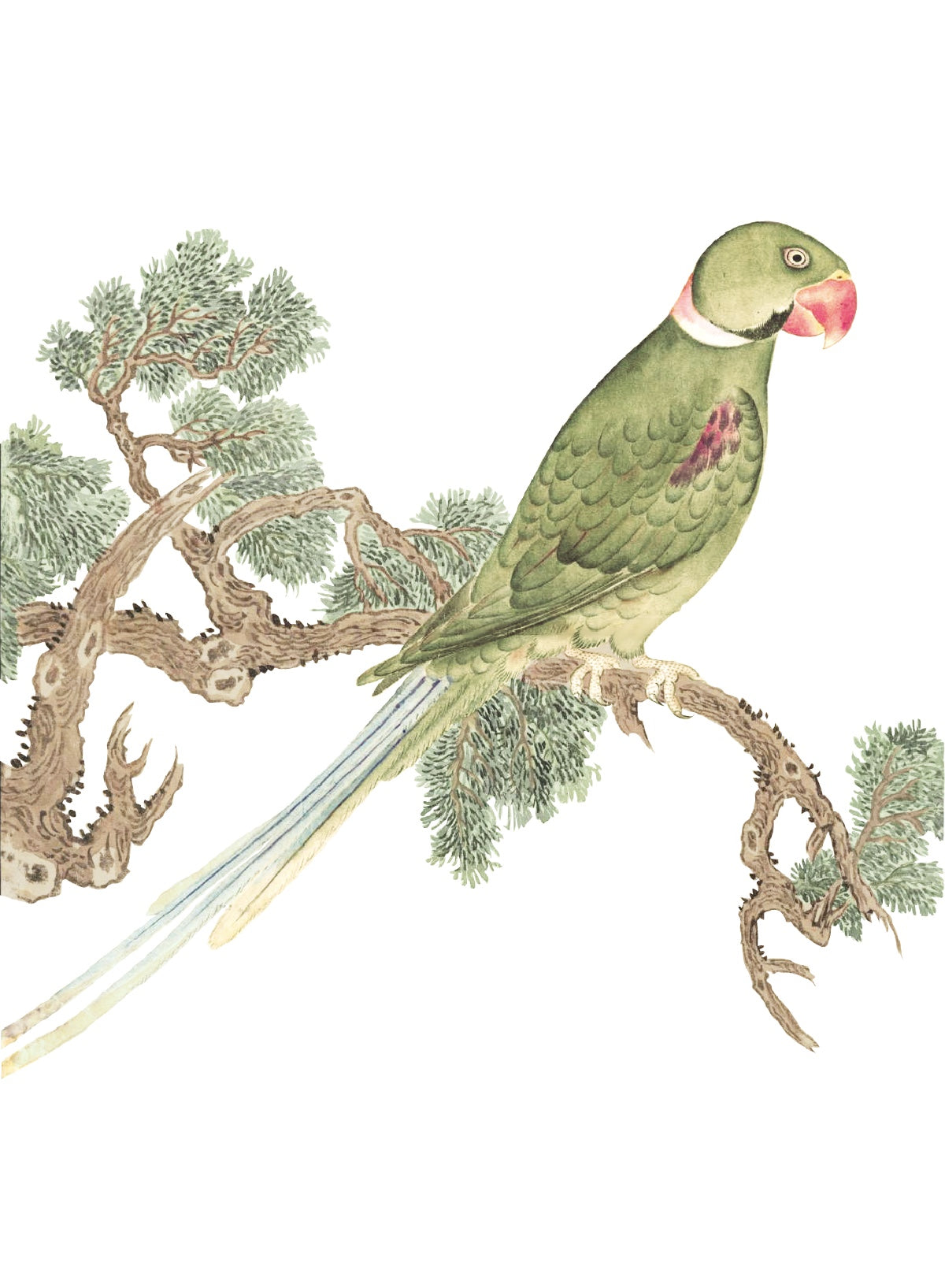 JAPANESE BIRDS 1