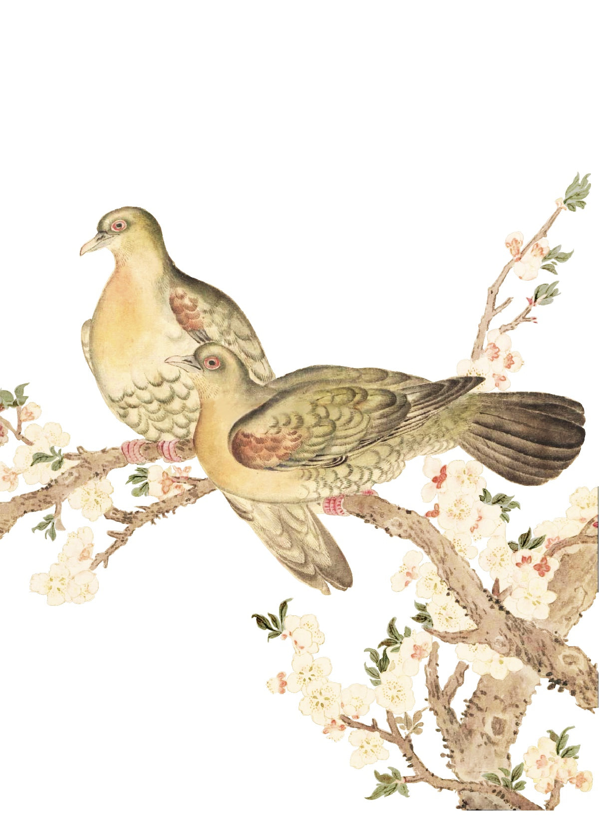 JAPANESE BIRDS 2