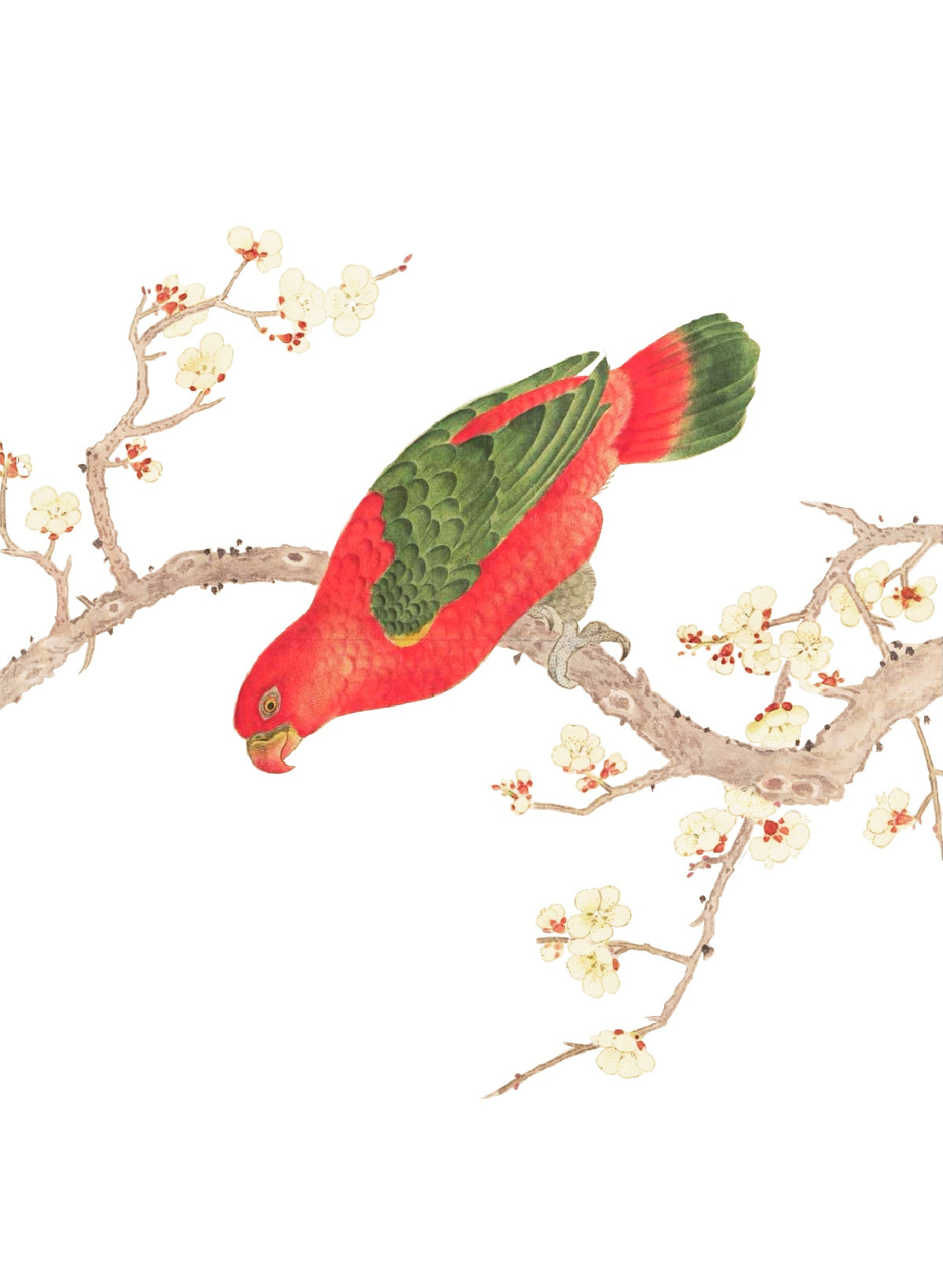 JAPANESE BIRDS 3