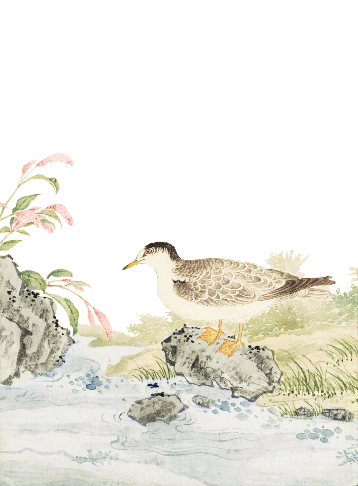JAPANESE BIRDS 4