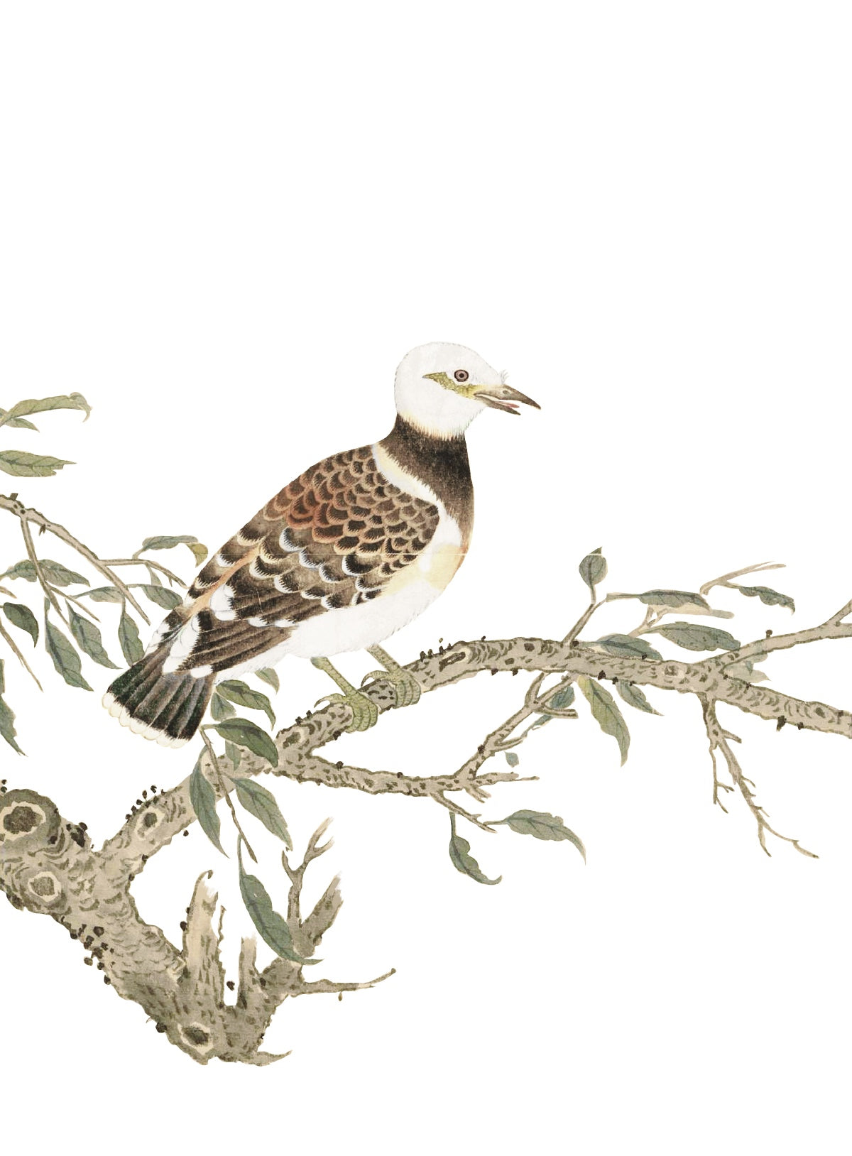 JAPANESE BIRDS 6