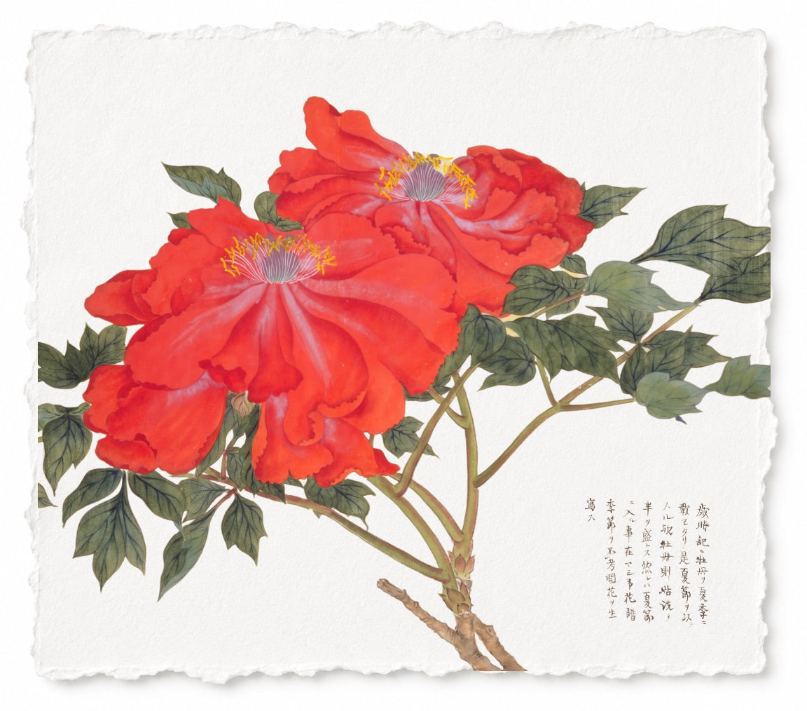 JAPANESE FLORAL SERIES 1 TEST3