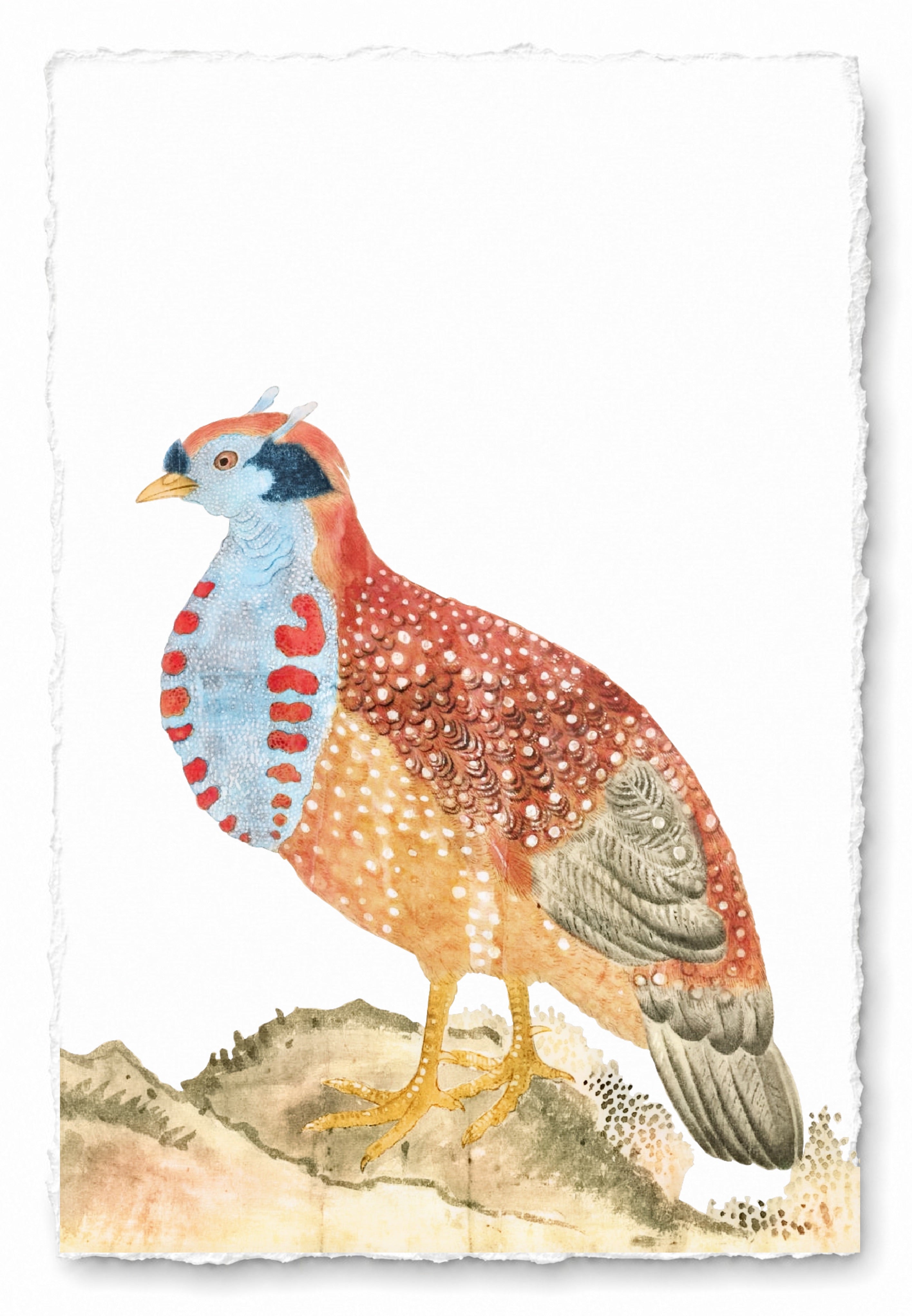 JAPANESE BIRDS 8