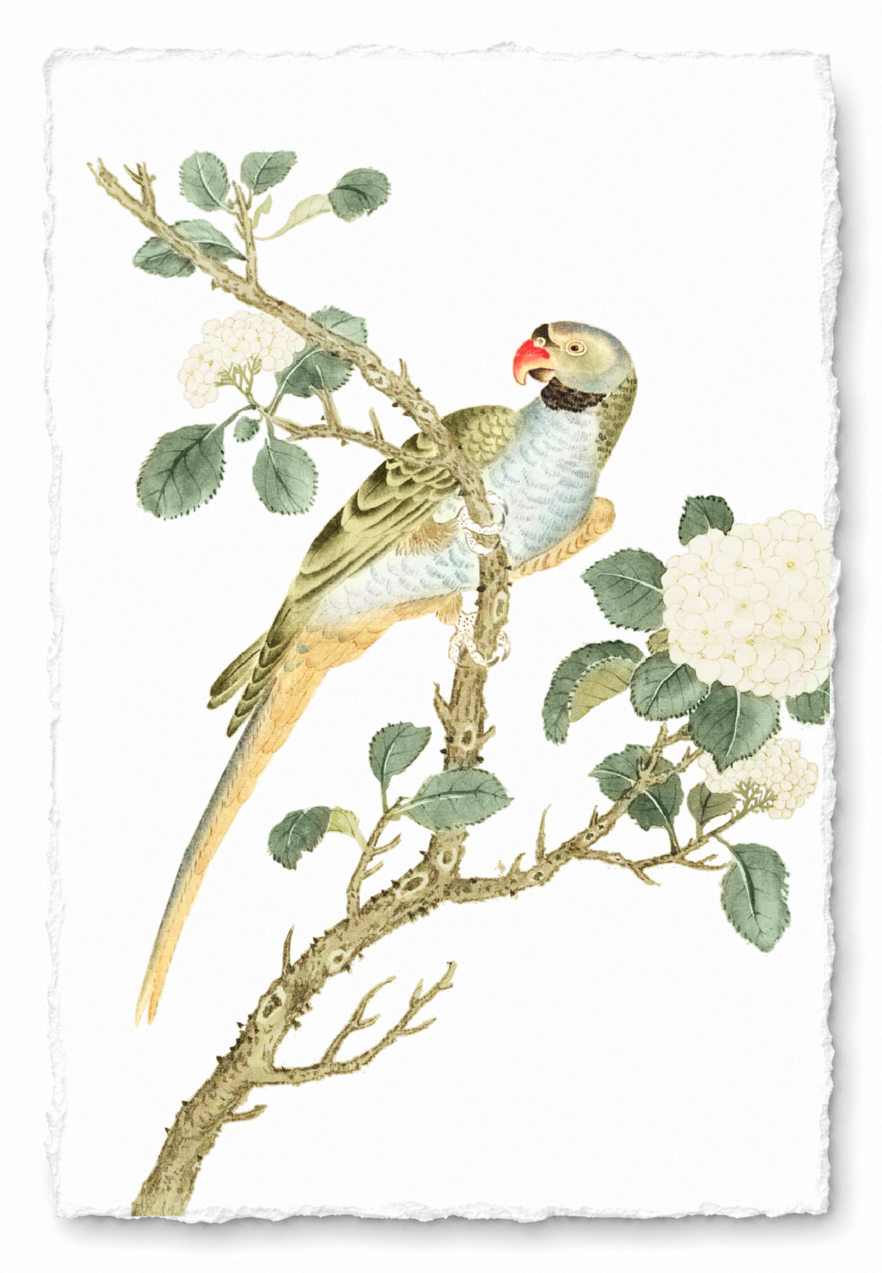 JAPANESE BIRDS 11