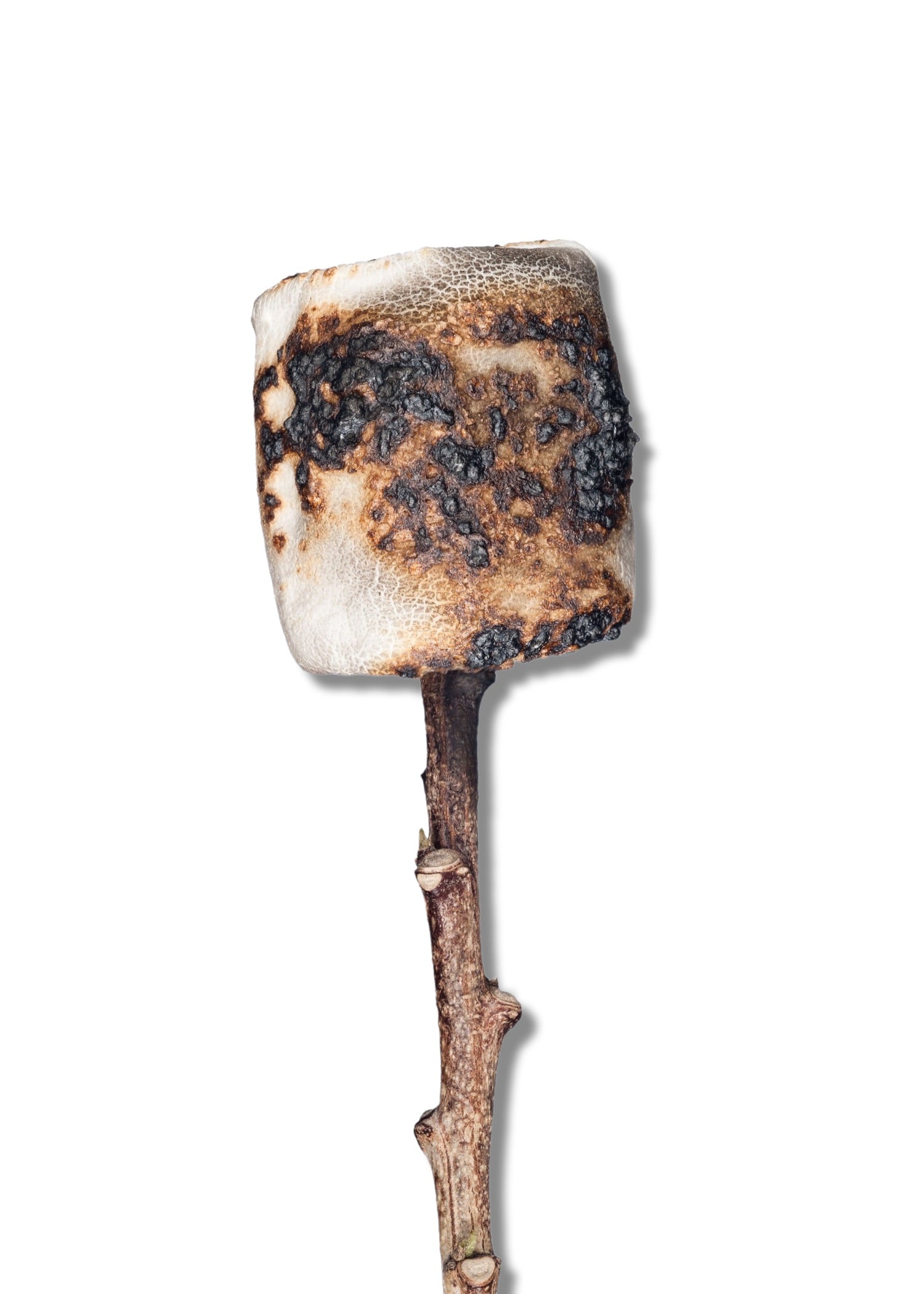 MALLOW
