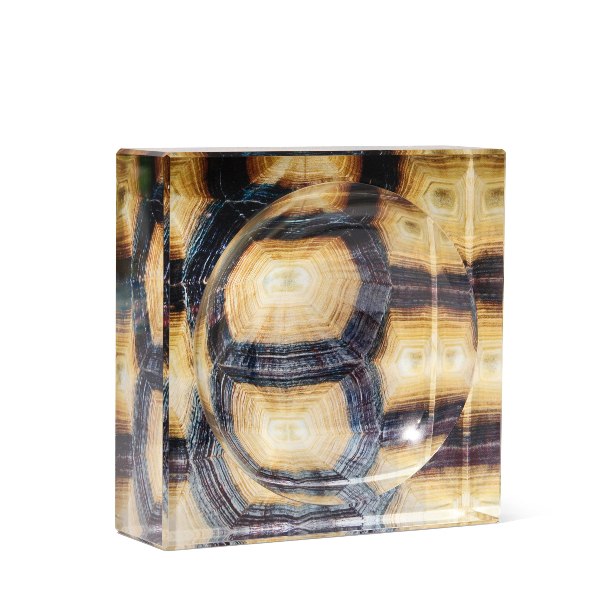 TORTOISE SHELL...