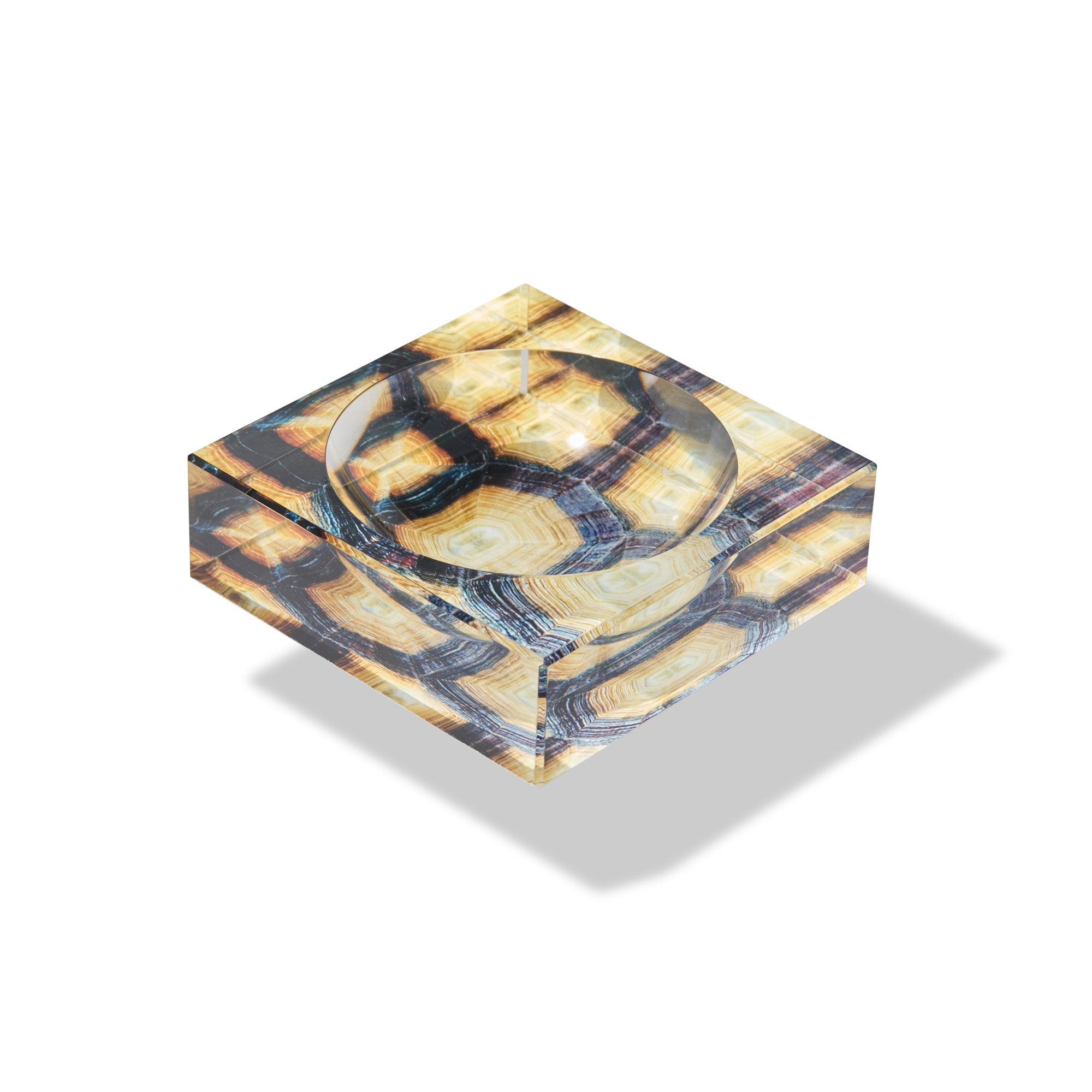 TORTOISE SHELL...