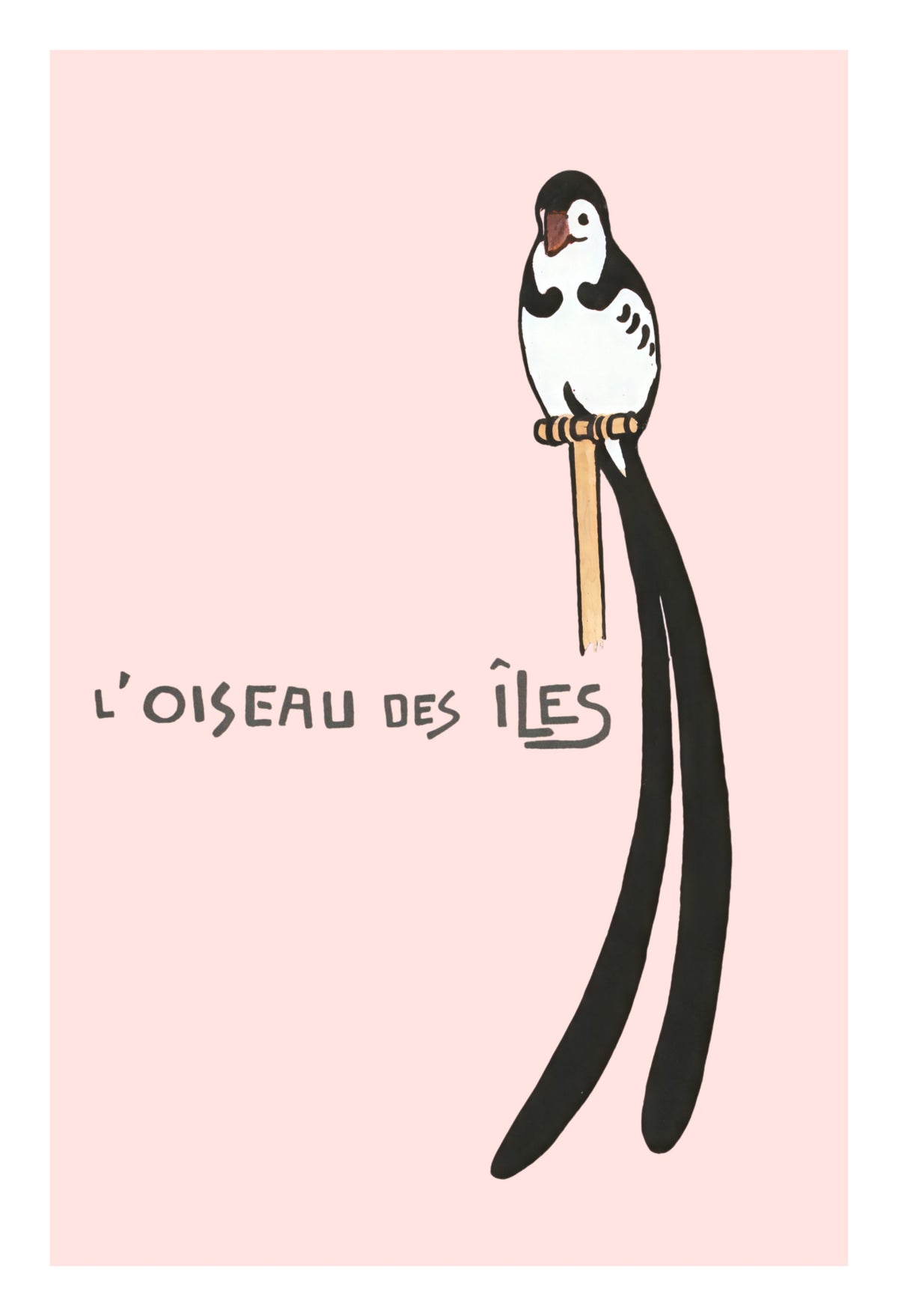 L'OISEAU DES ILES
