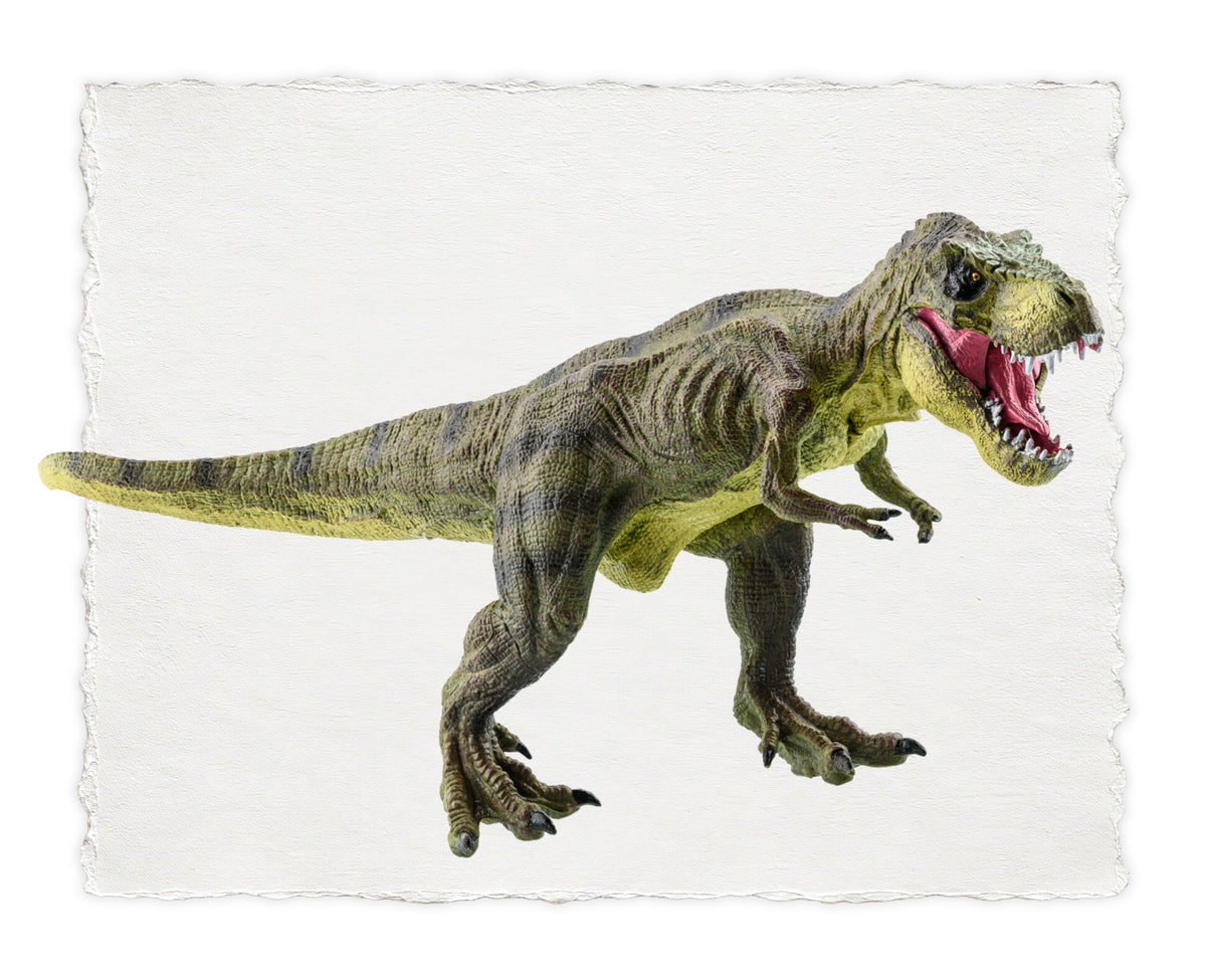 DINOSAUR SERIES 5