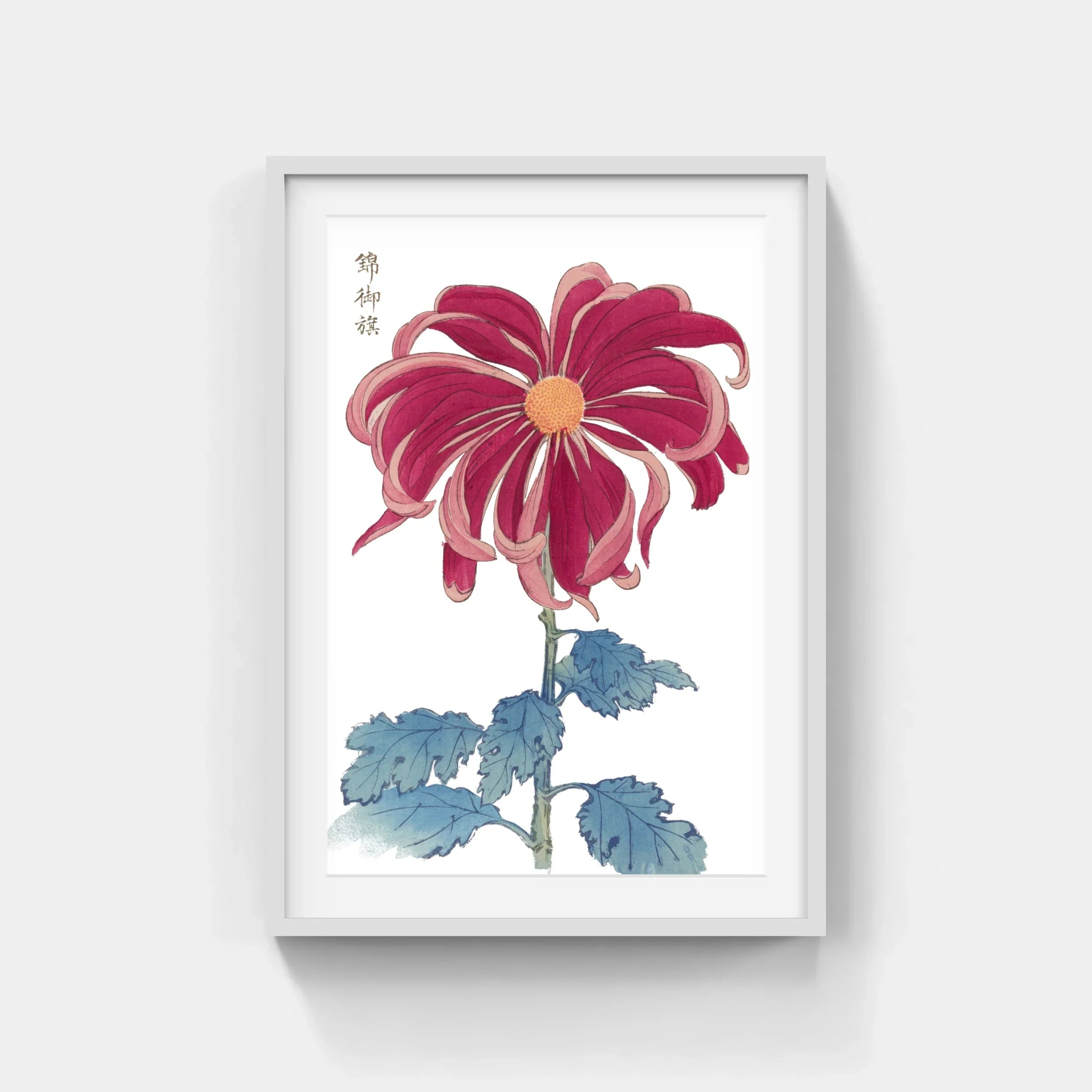 CHRYSANTHEMUMS