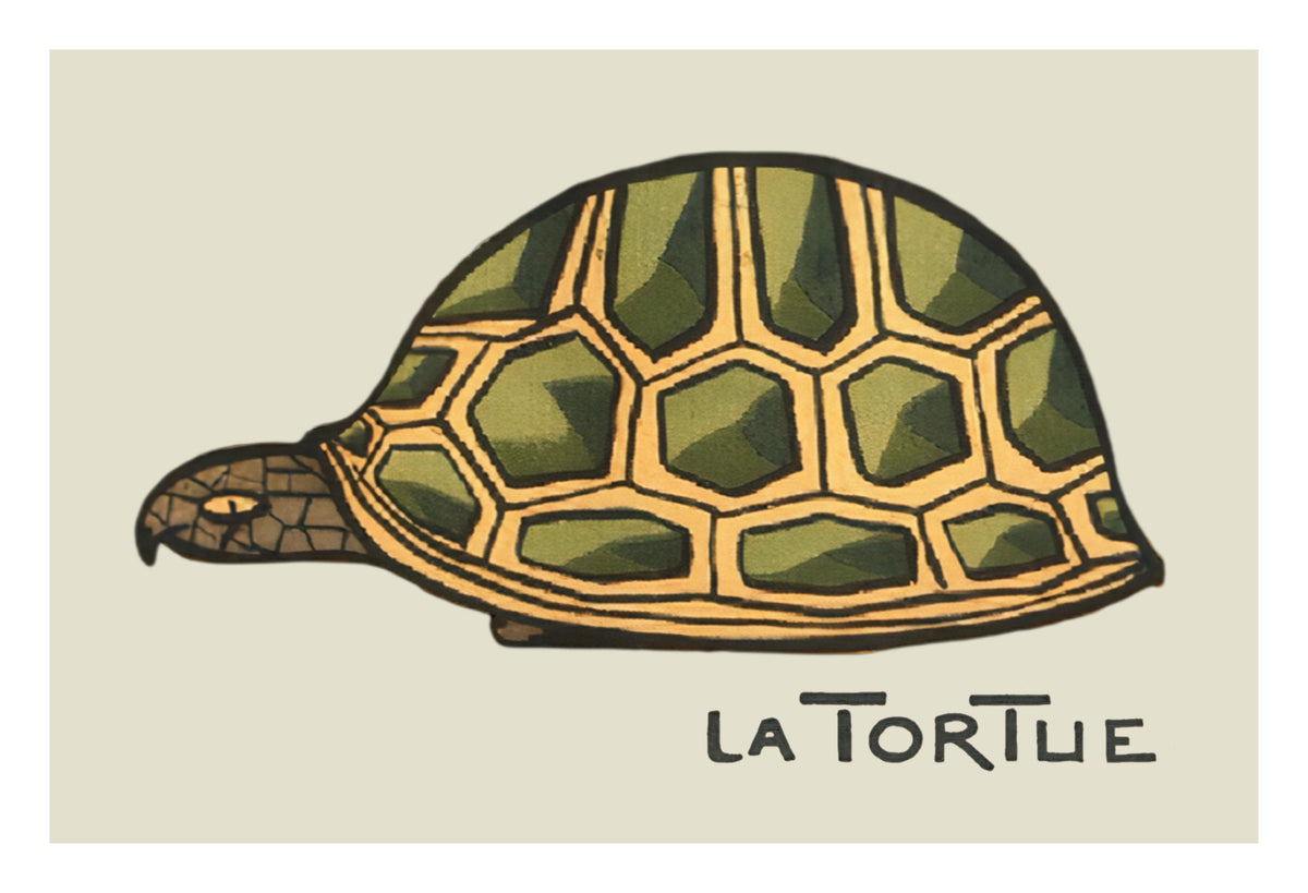 LA TORTUE