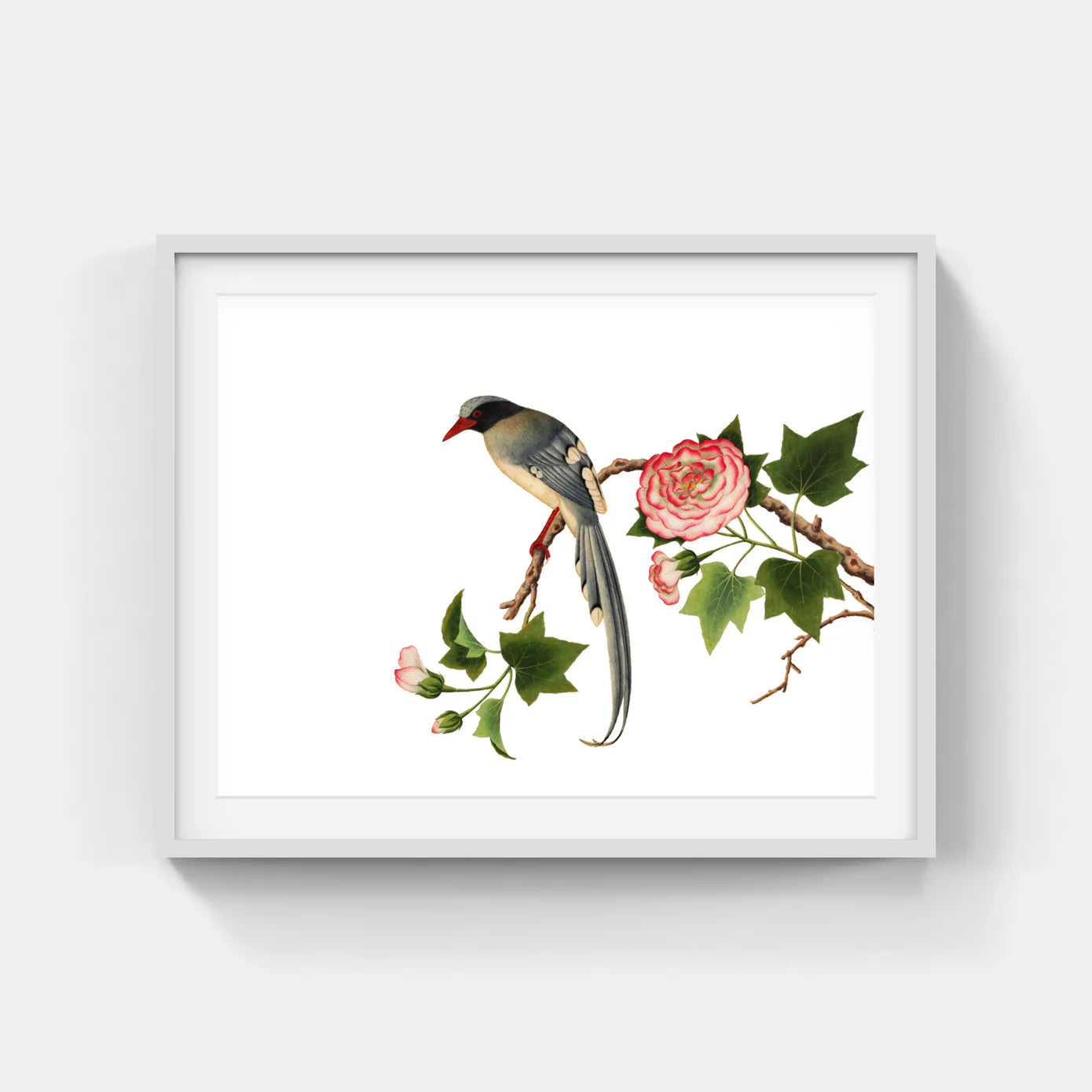 CHINESE BIRD 1