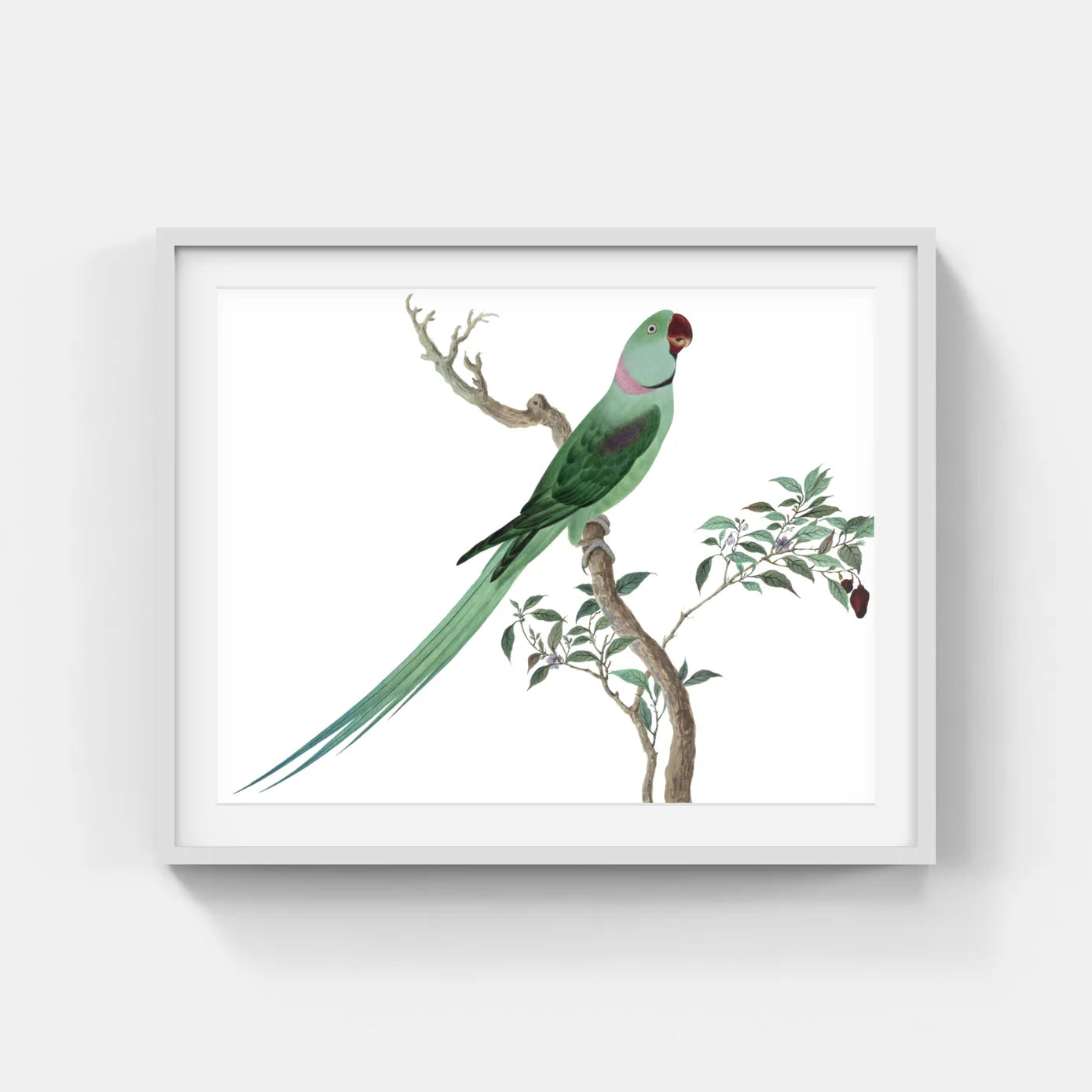CHINESE BIRD 4