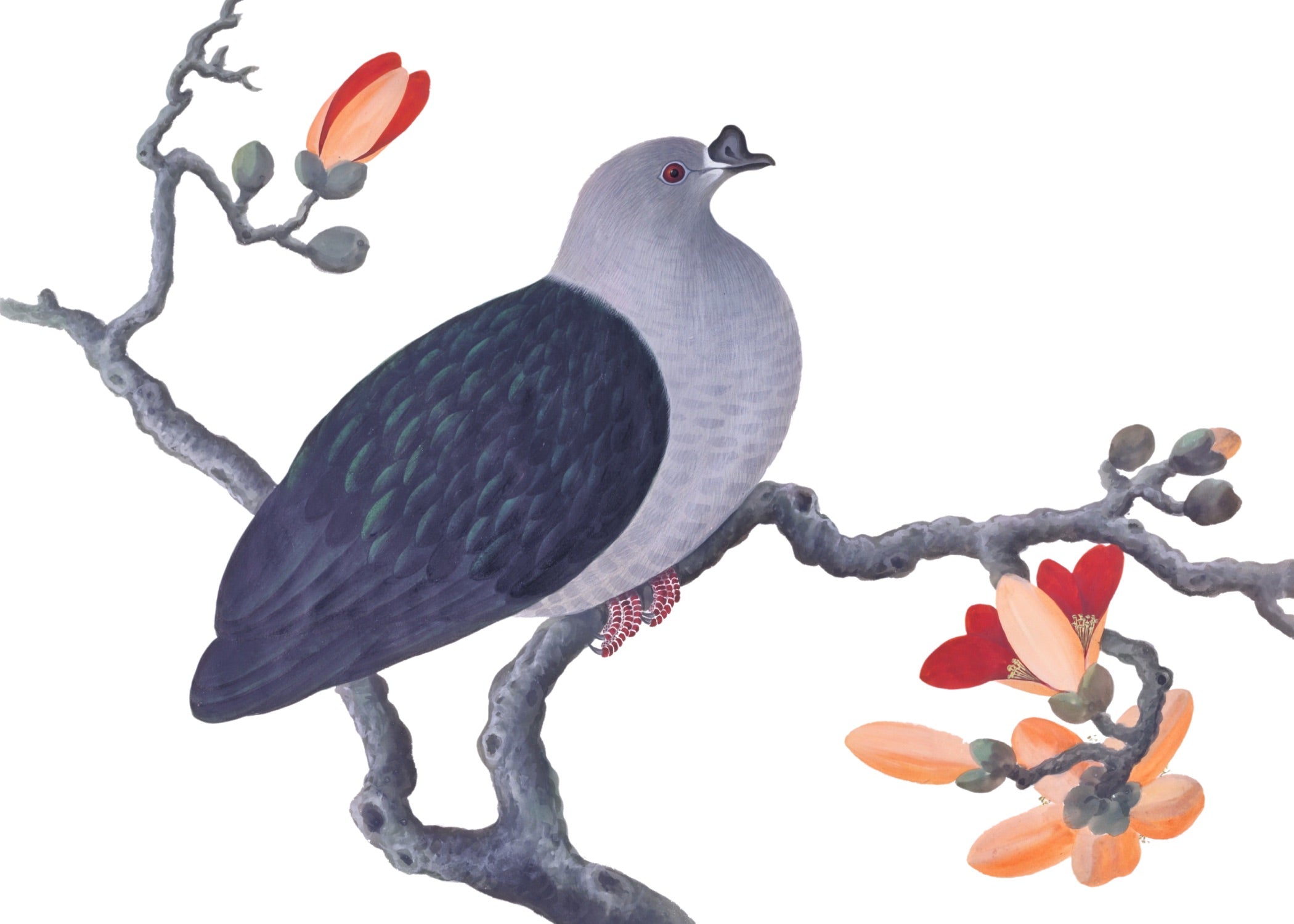 CHINESE BIRD 17