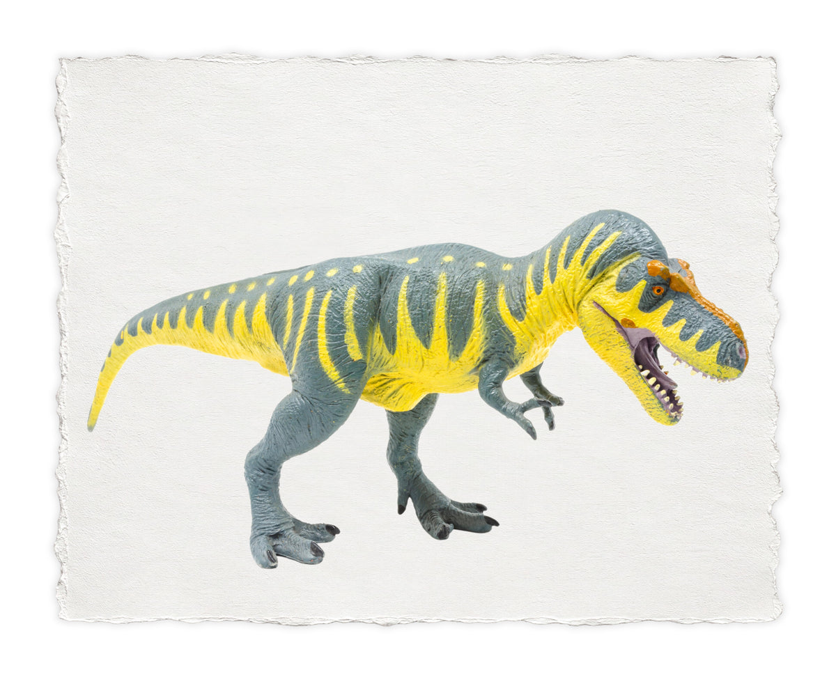 DINOSAUR SERIES 13