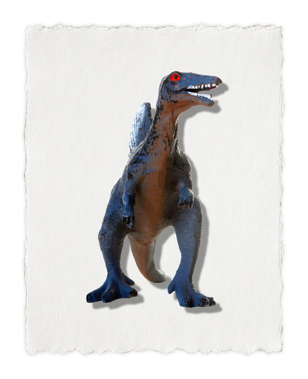 DINOSAUR SERIES 14