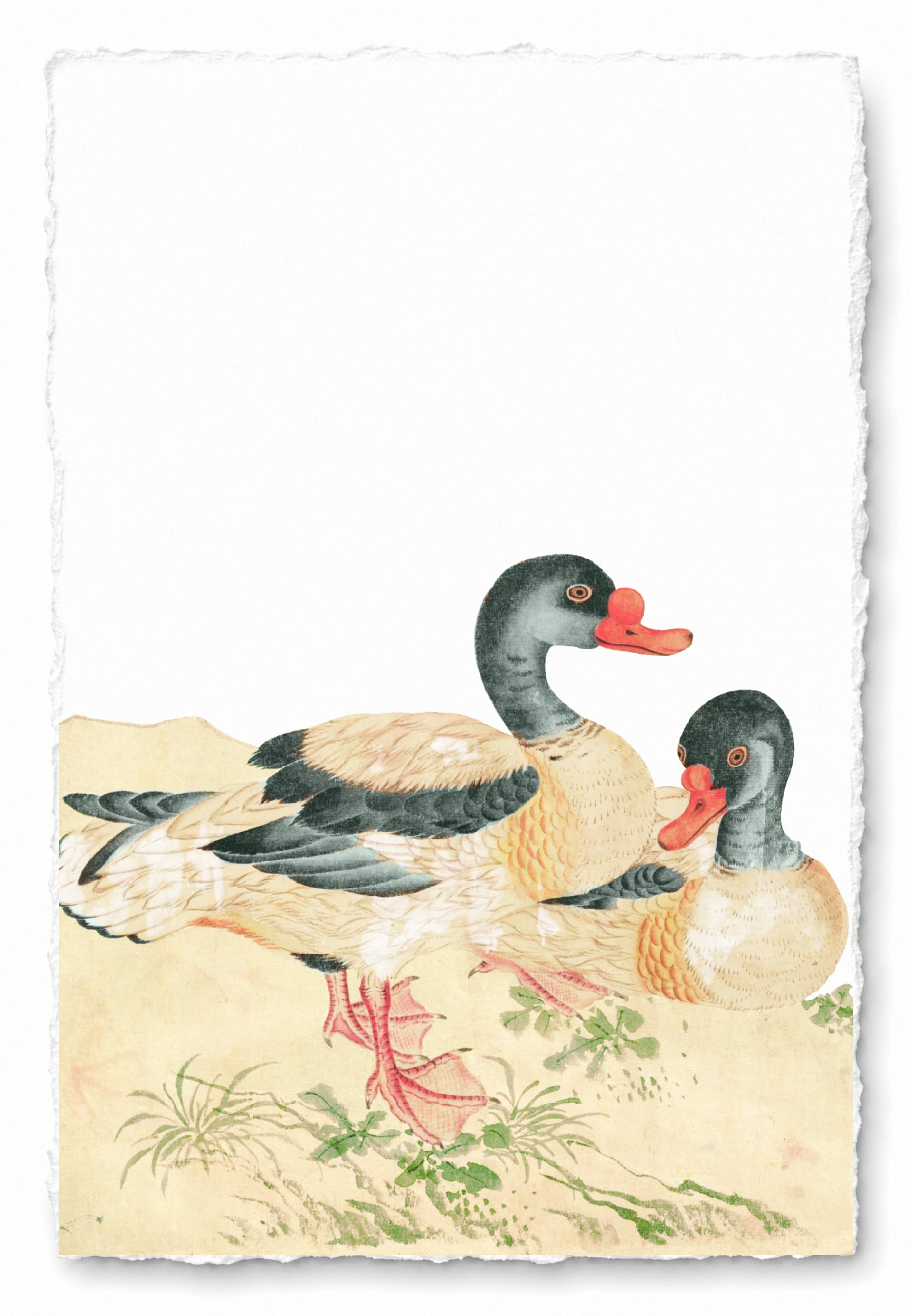 JAPANESE BIRDS 10