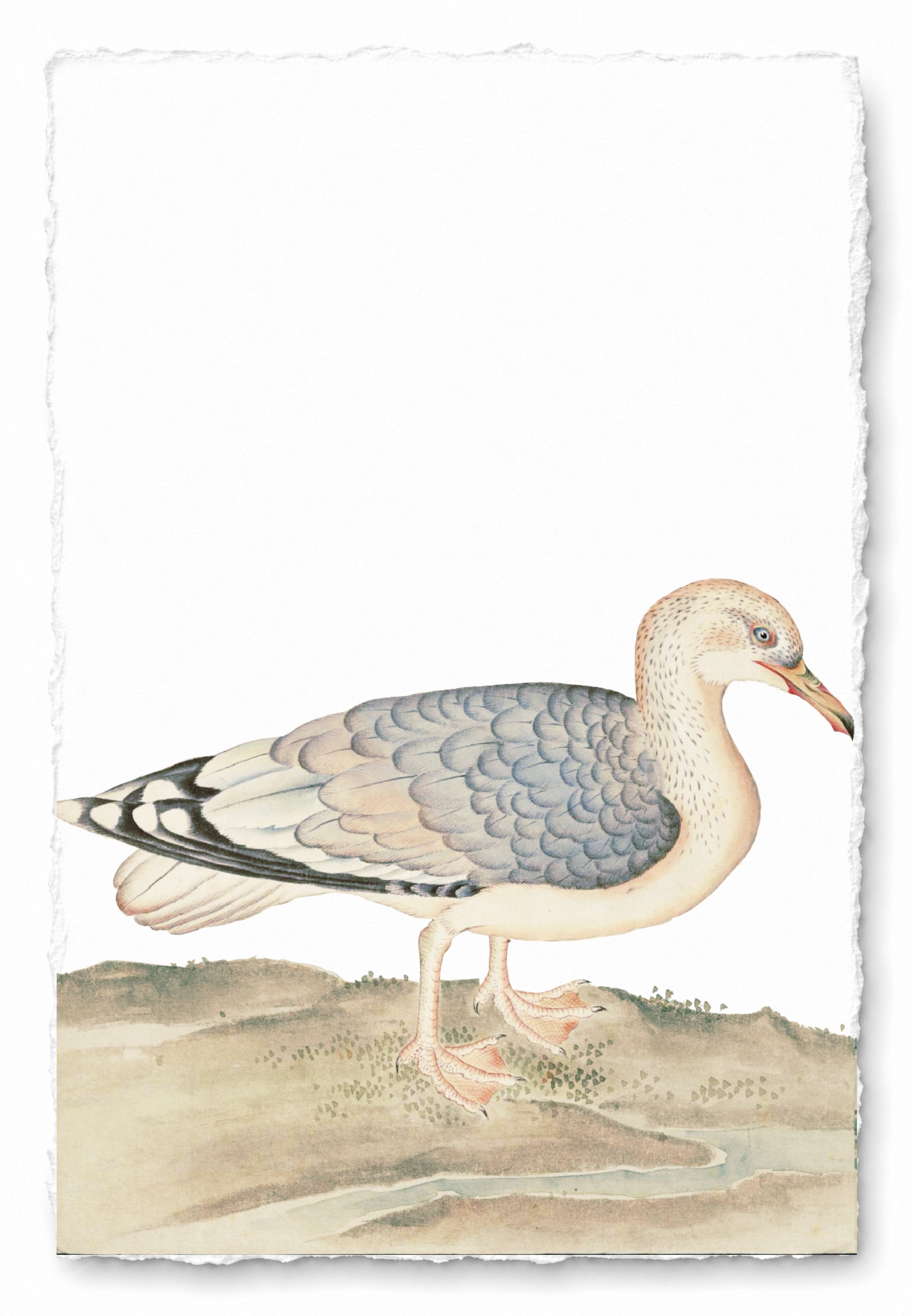 JAPANESE BIRDS 12