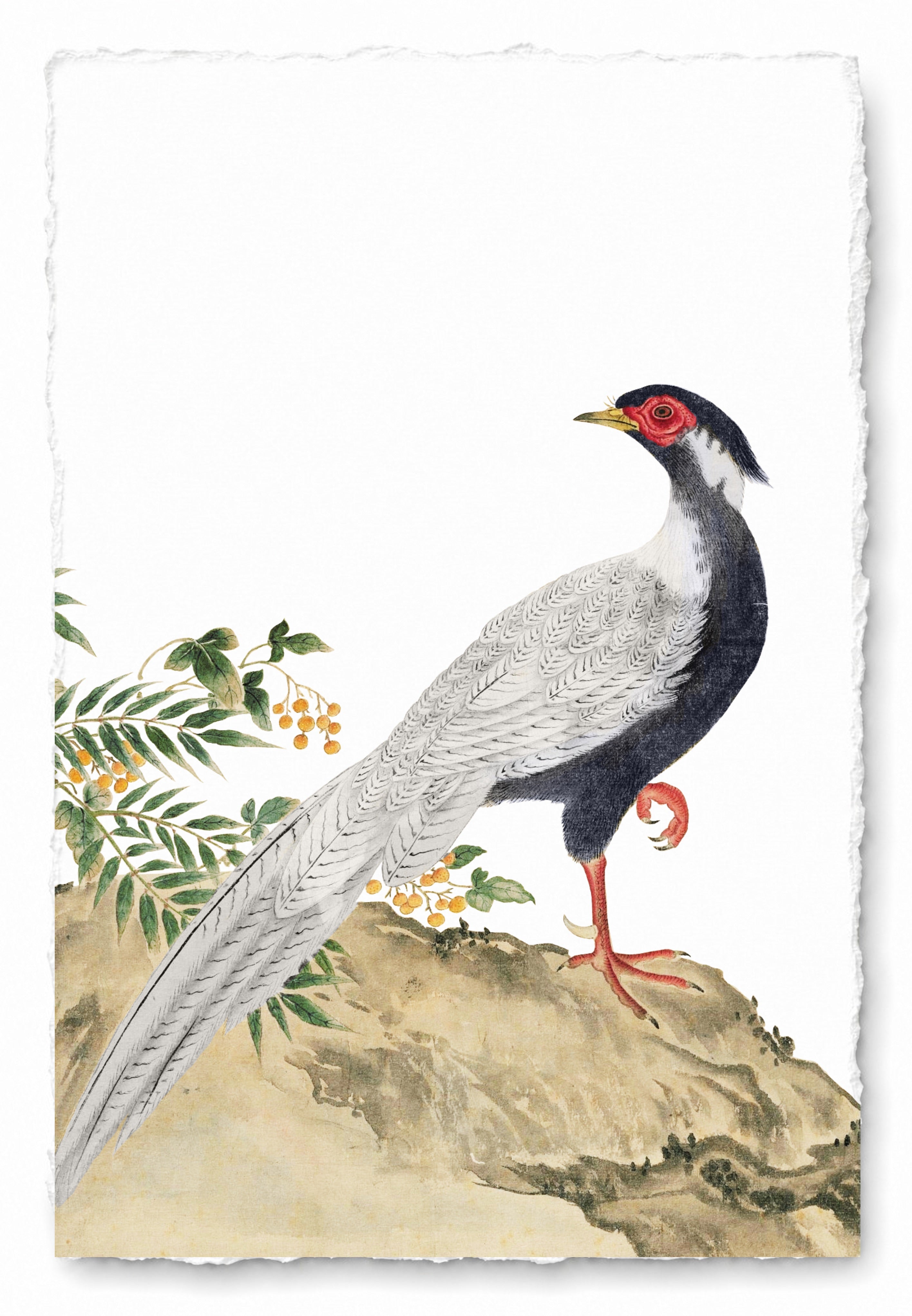 JAPANESE BIRDS 13