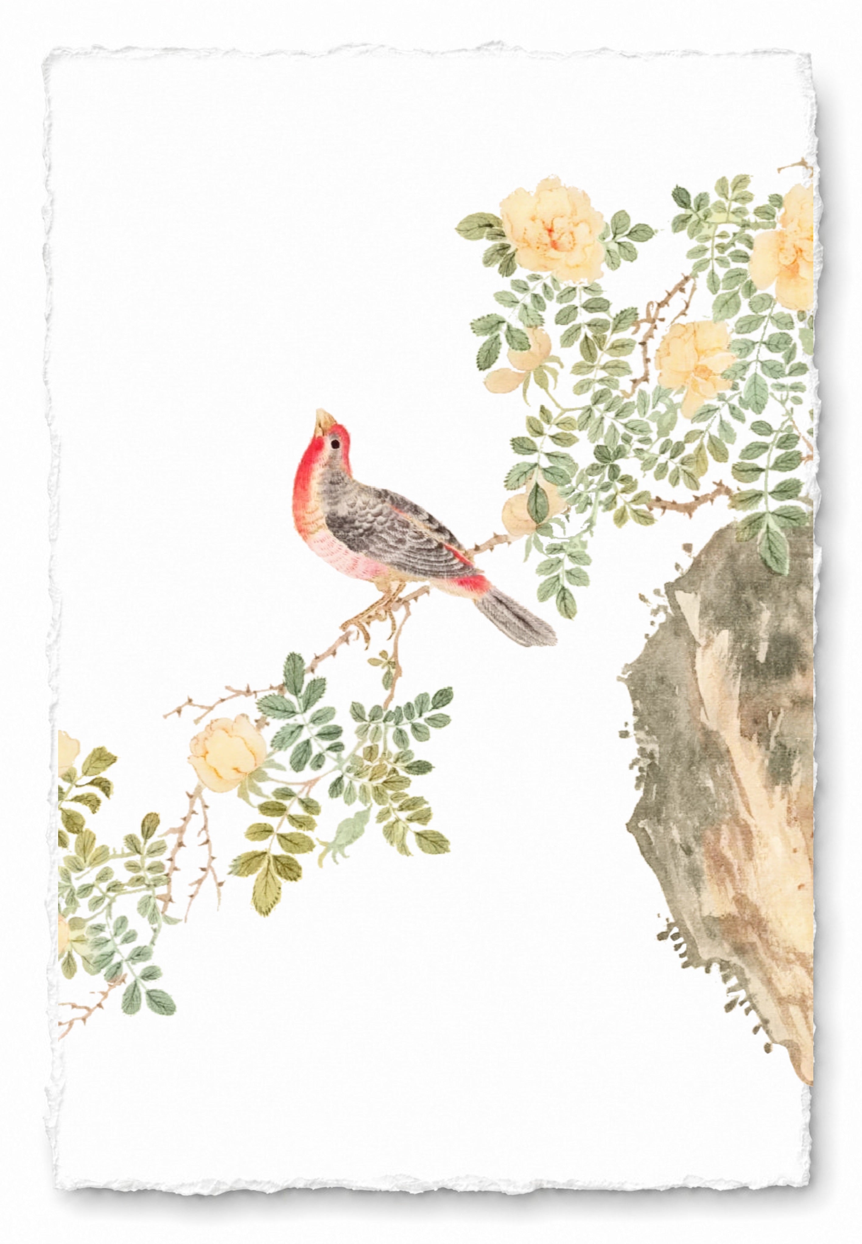 JAPANESE BIRDS 17