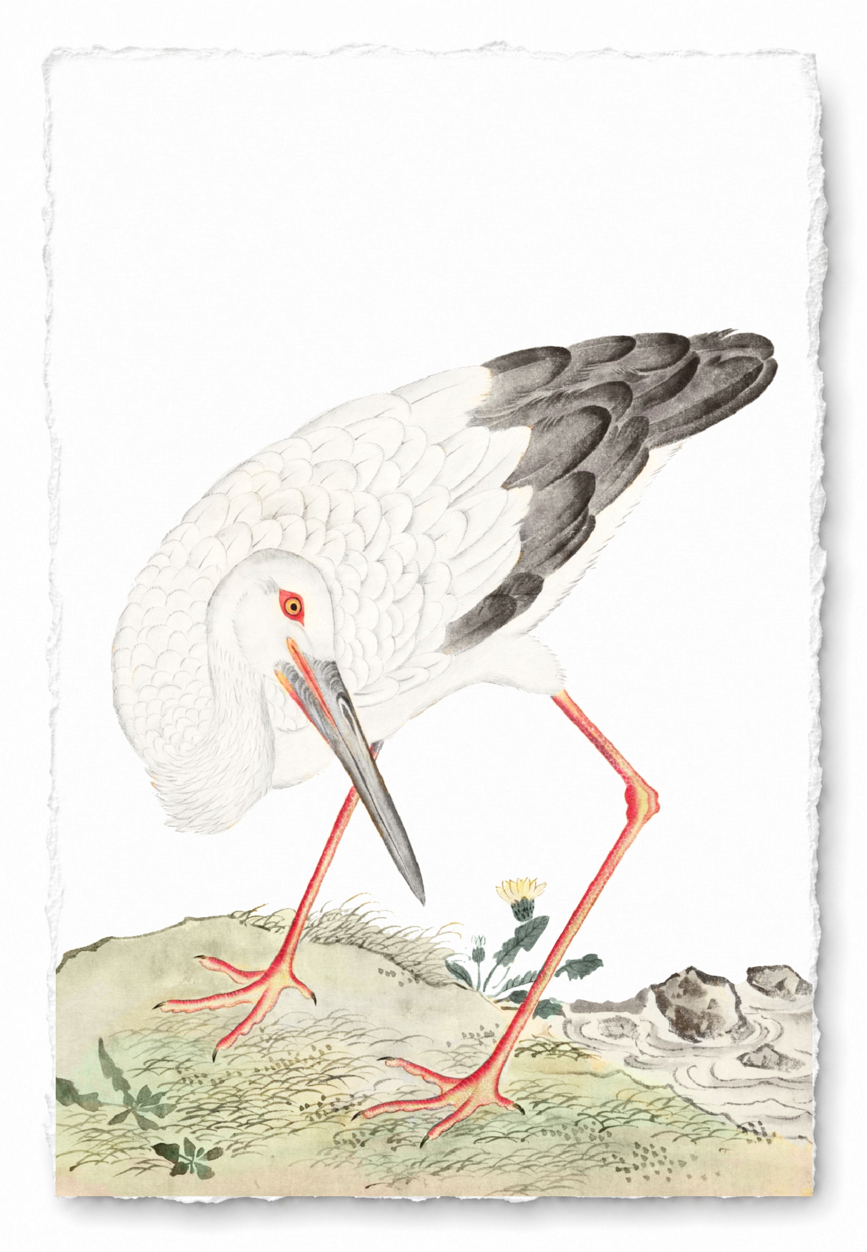 JAPANESE BIRDS 19