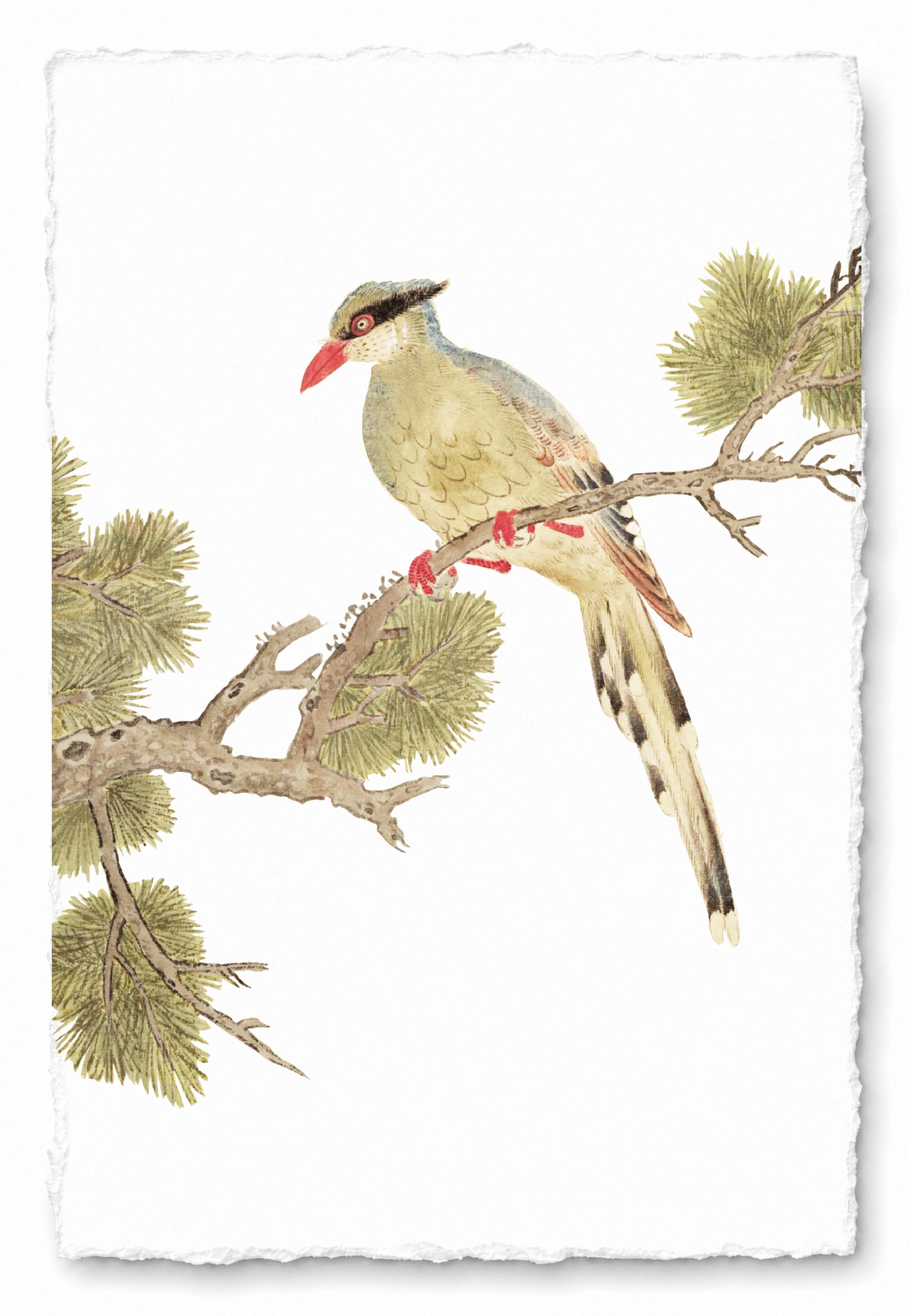 JAPANESE BIRDS 20