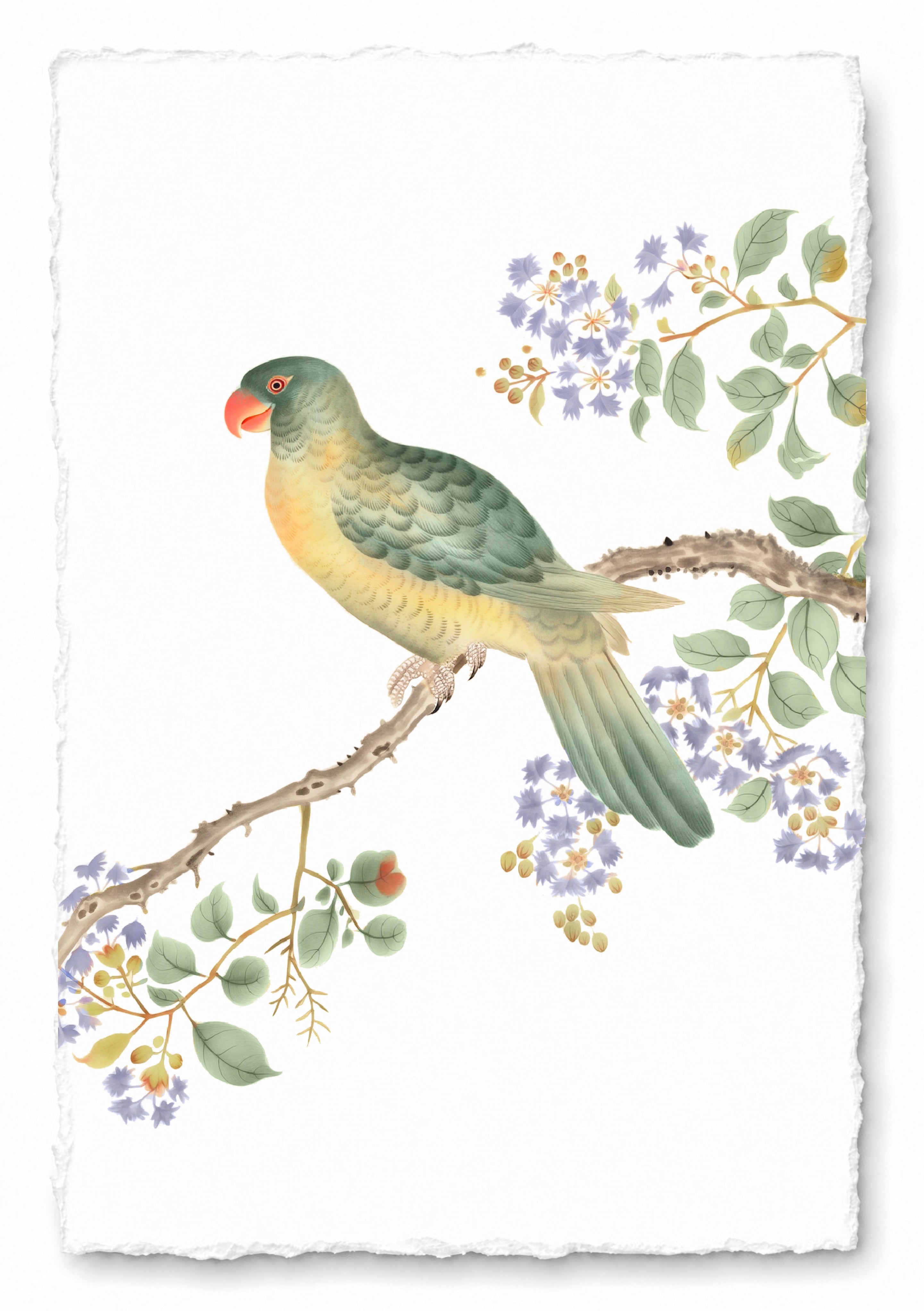 JAPANESE BIRDS 26