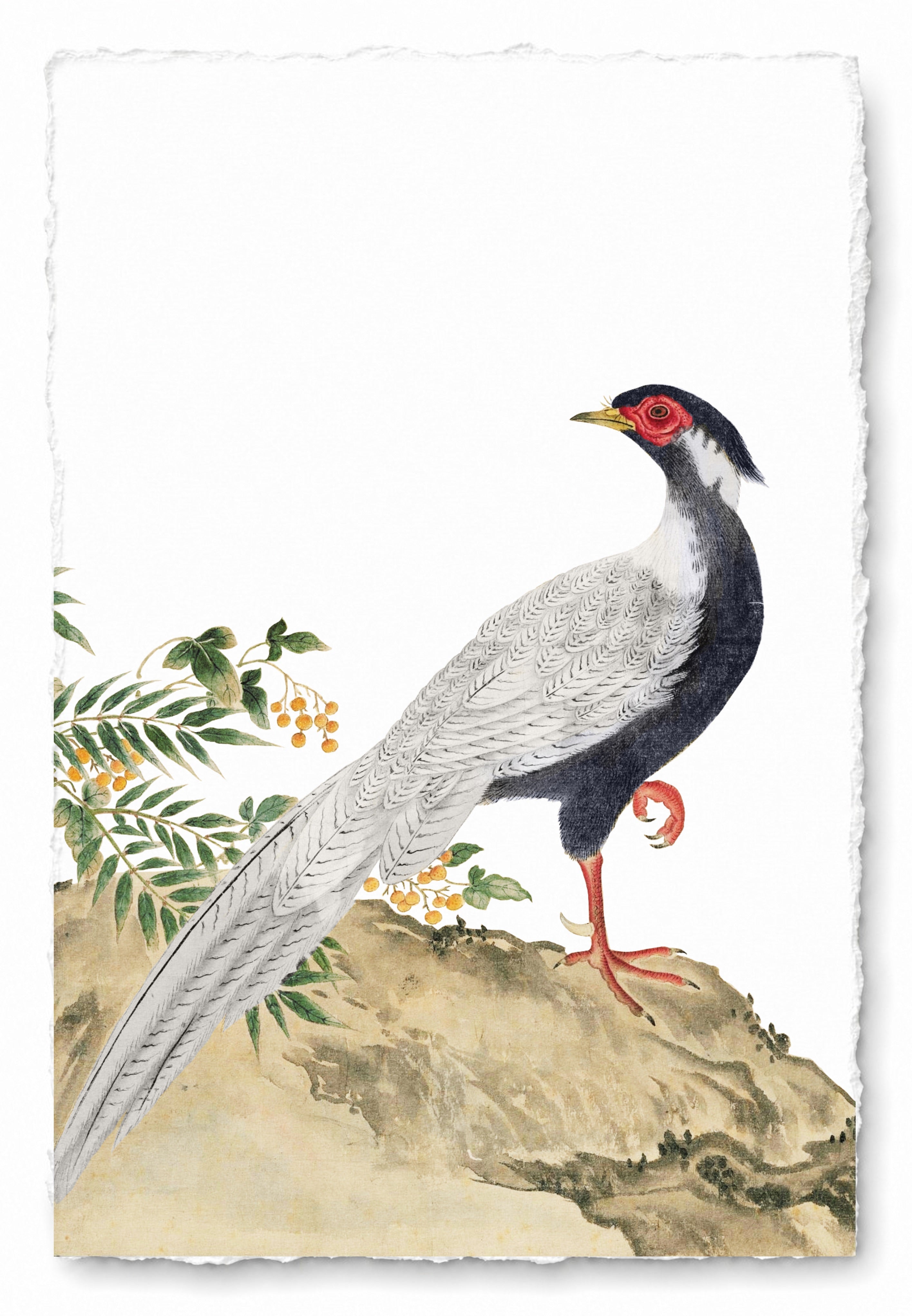JAPANESE BIRDS 9