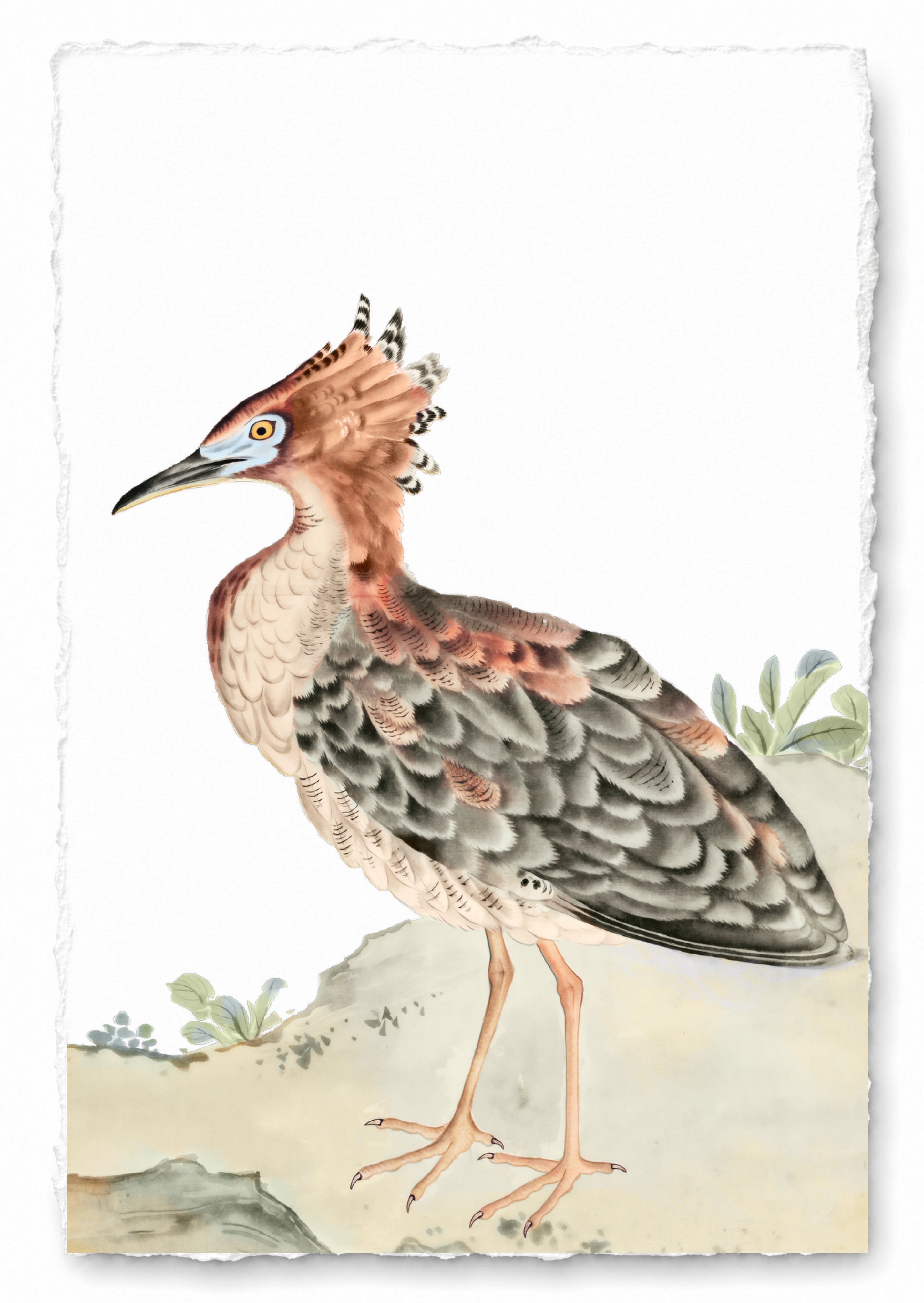 JAPANESE BIRDS 23