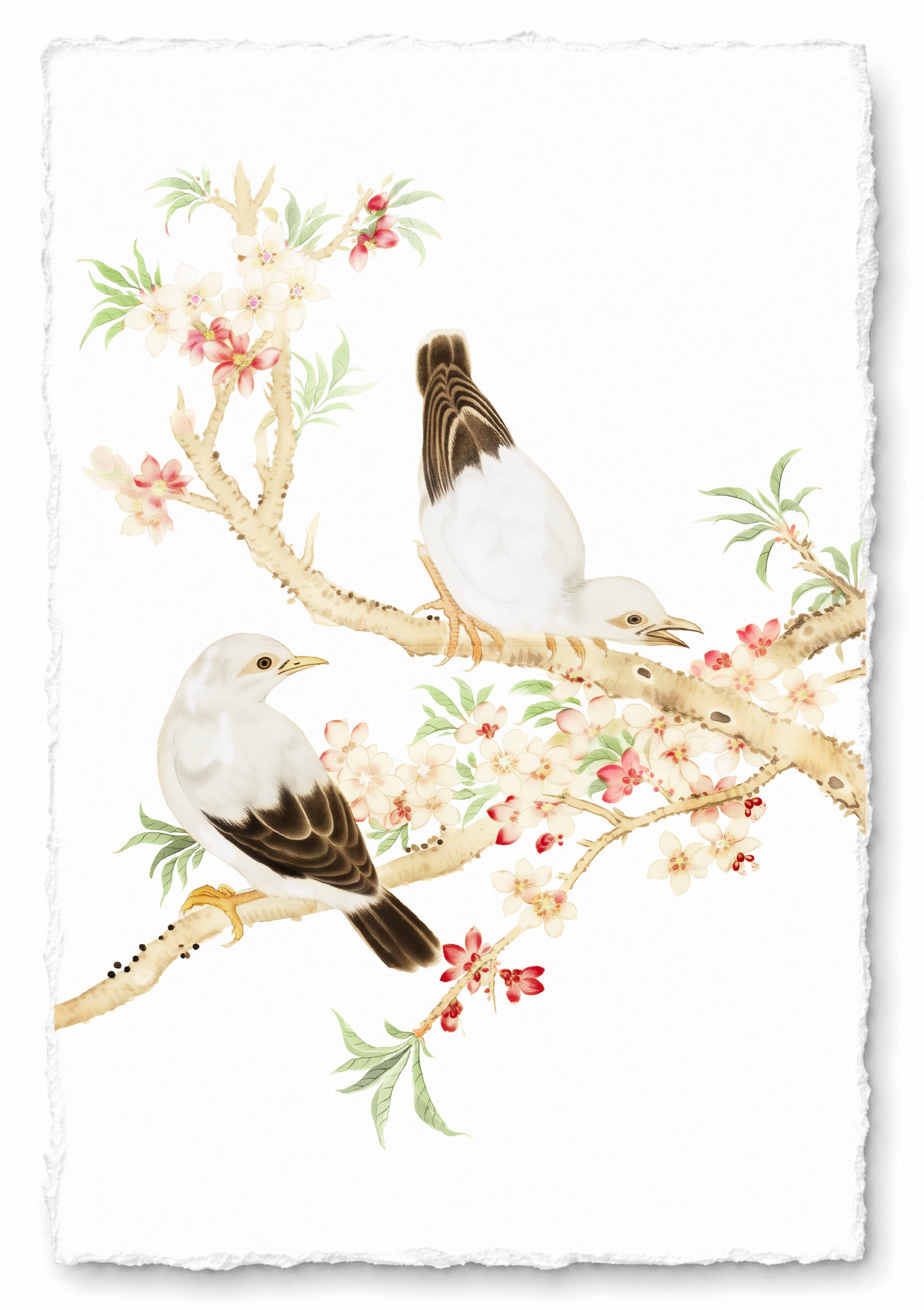 JAPANESE BIRDS 25