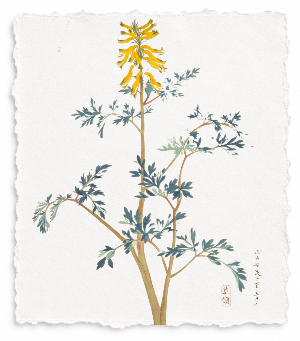 JAPANESE FLORAL SERIES 2 test