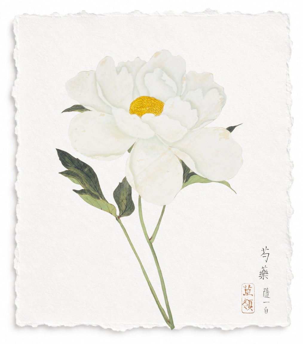 JAPANESE FLORAL SERIES 3