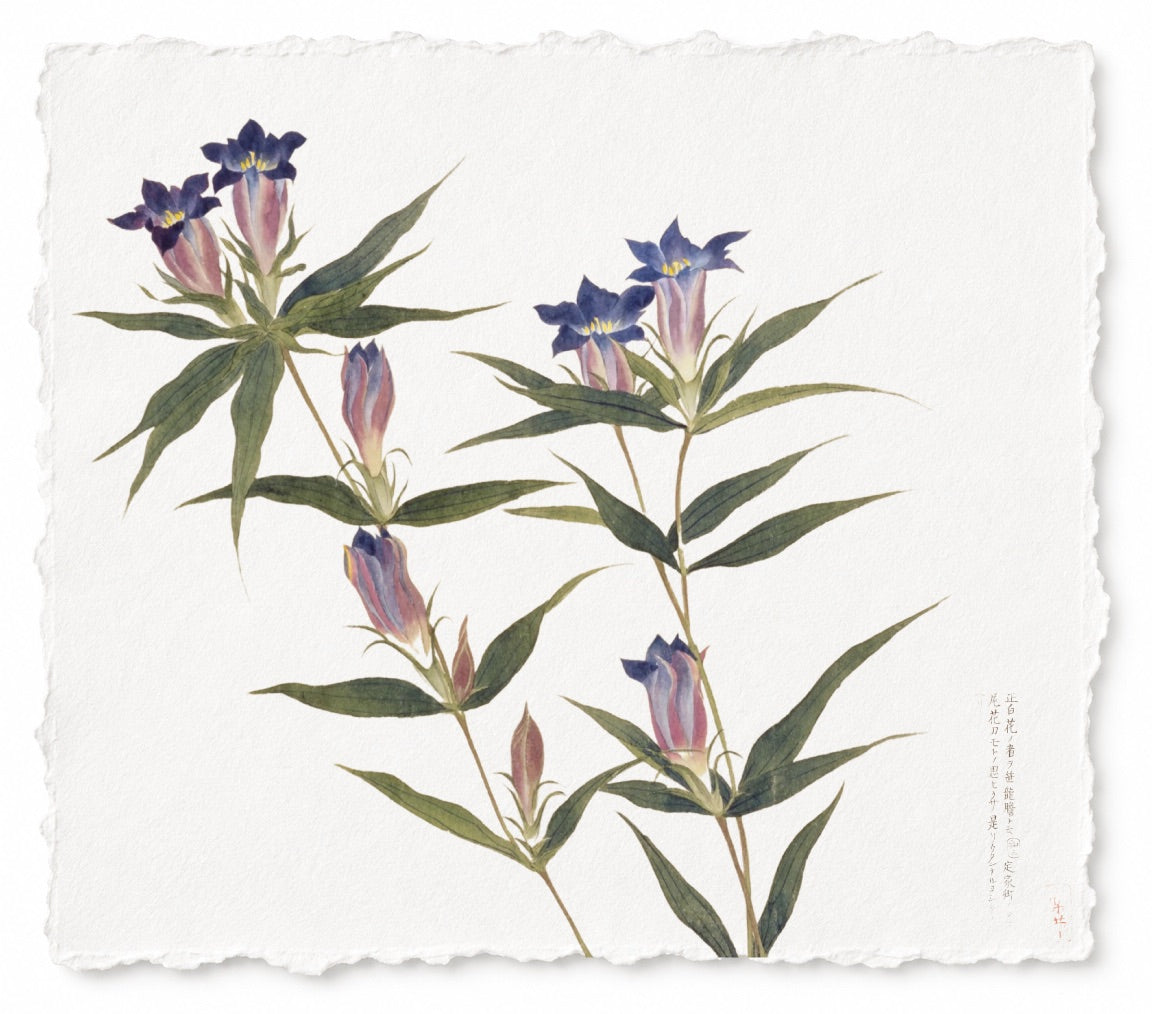 JAPANESE FLORAL SERIES 4