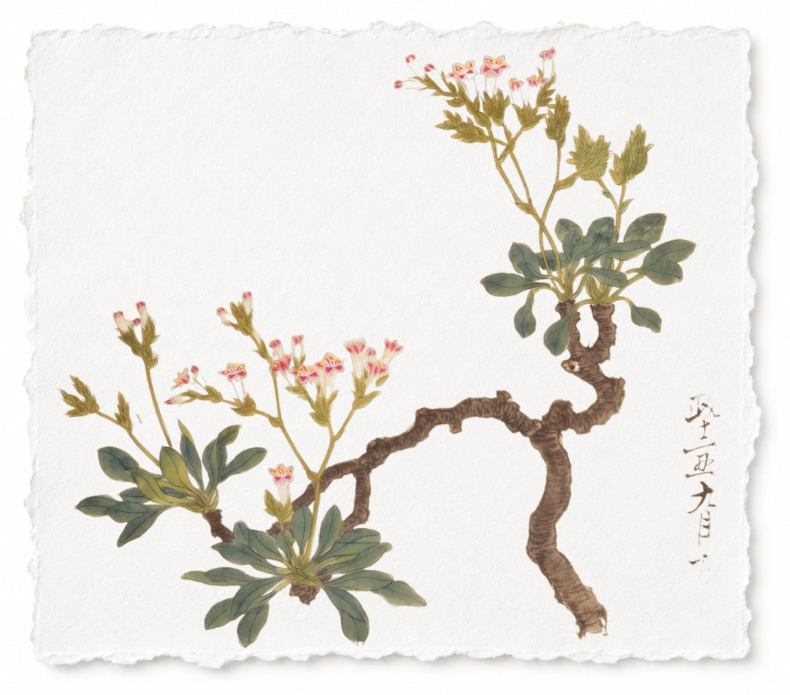 JAPANESE FLORAL SERIES 5