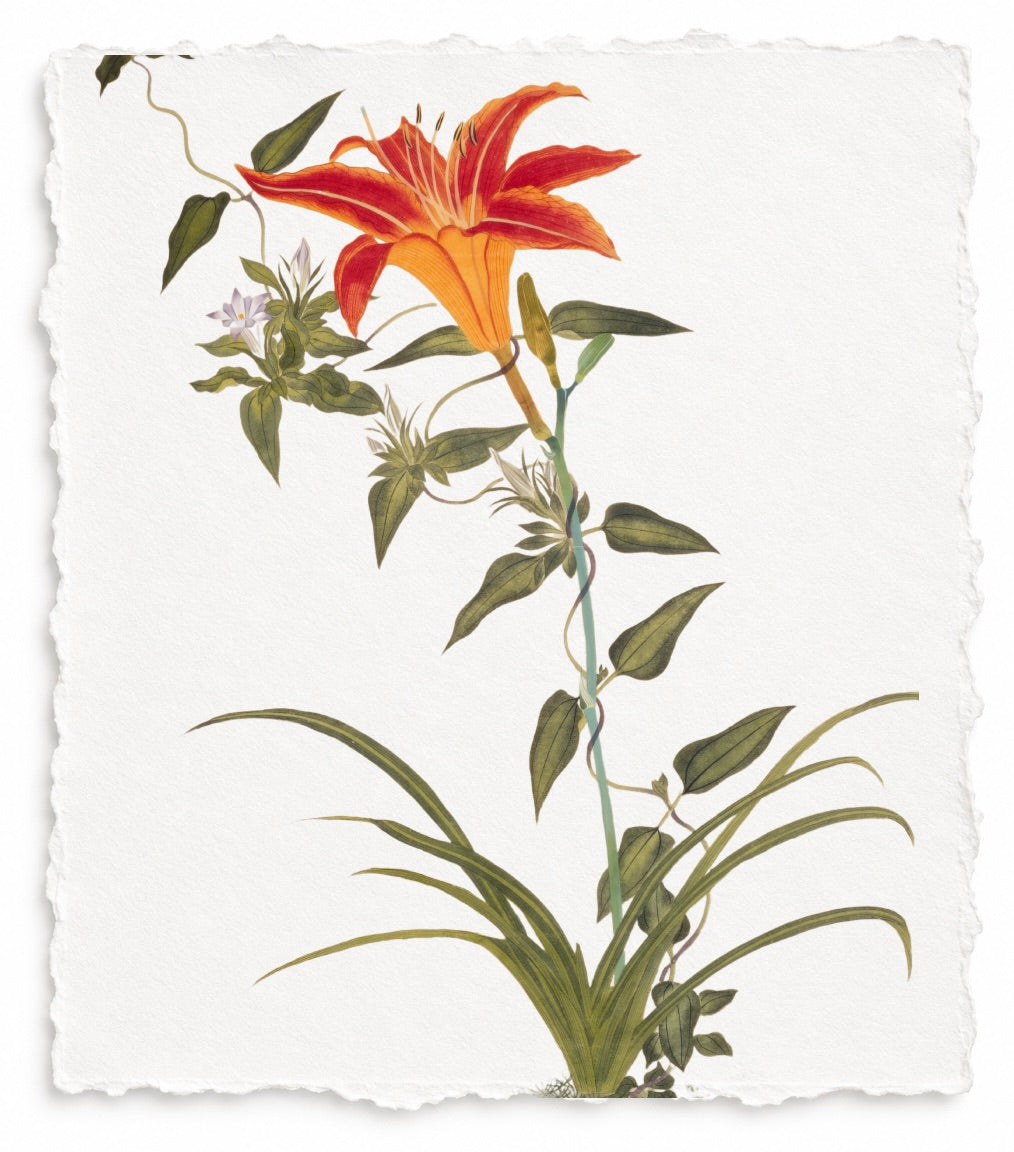 JAPANESE FLORAL SERIES 6