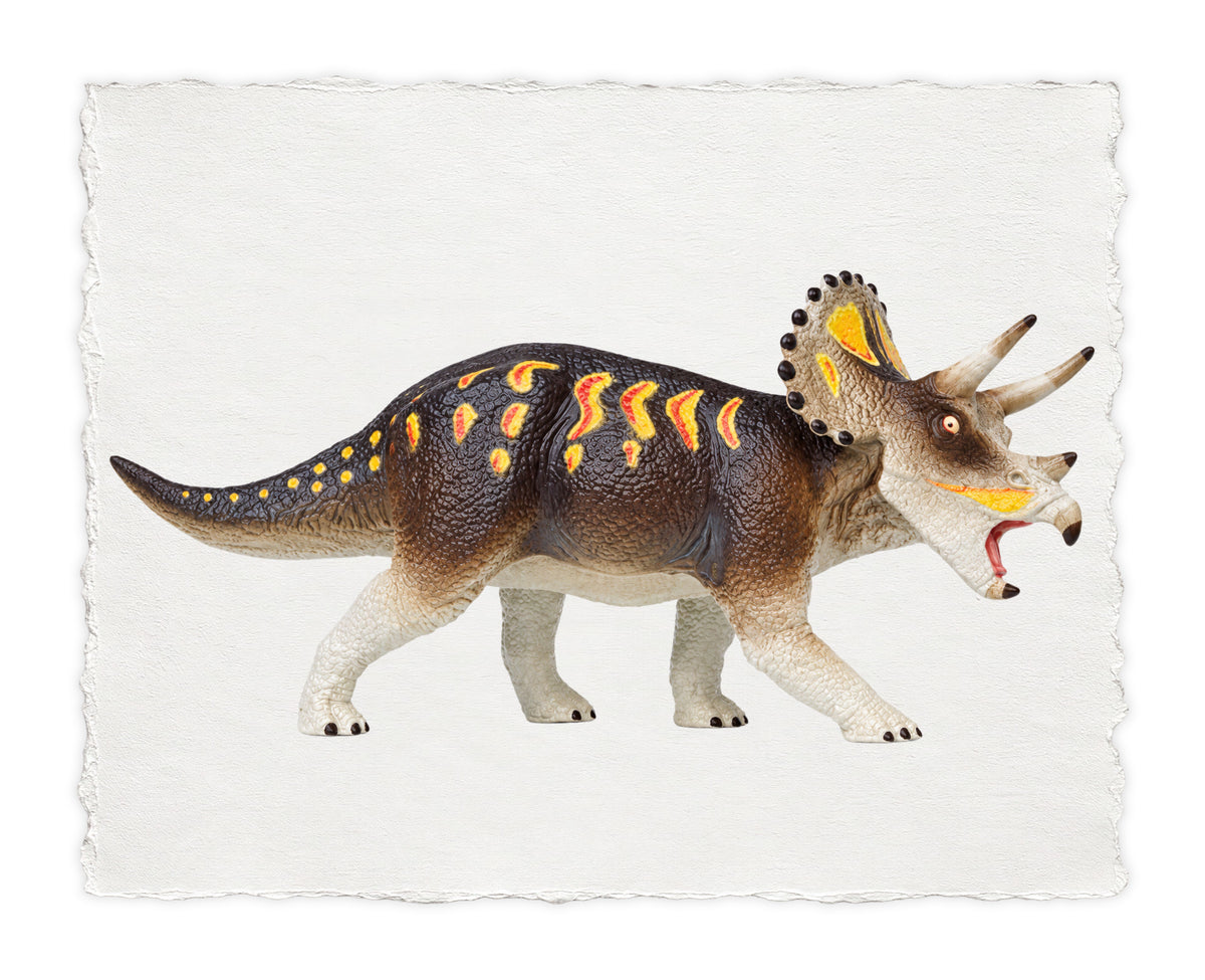 DINOSAUR SERIES 6