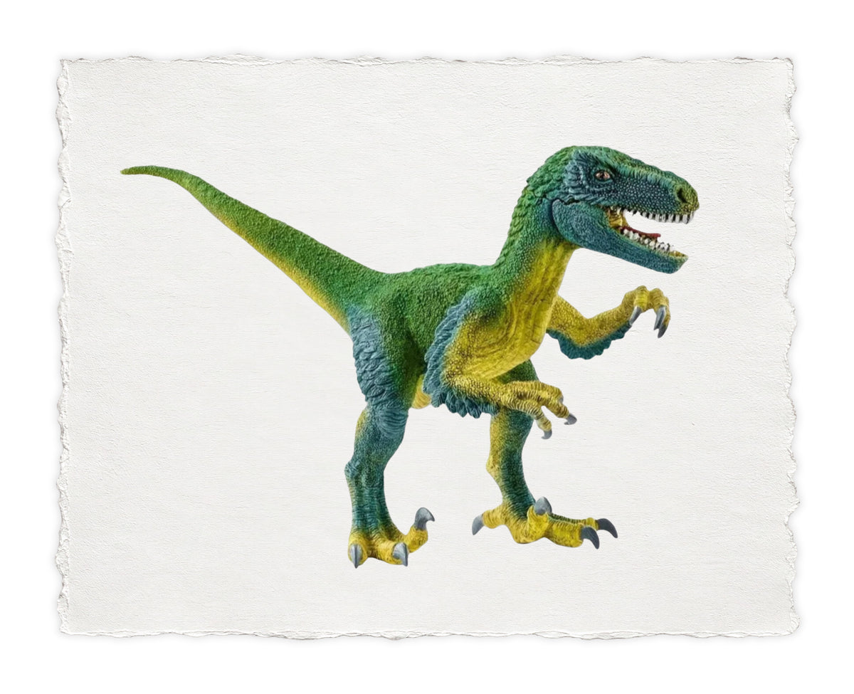 DINOSAUR SERIES 11
