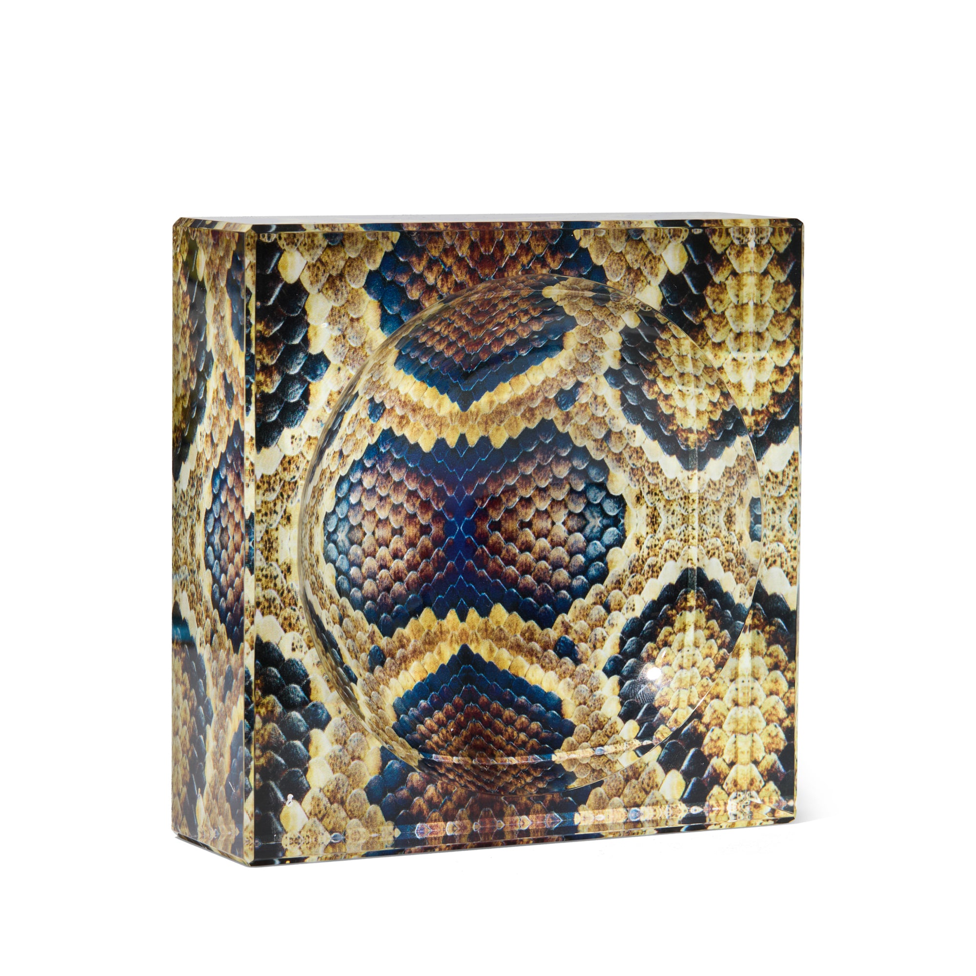 SNAKESKIN...