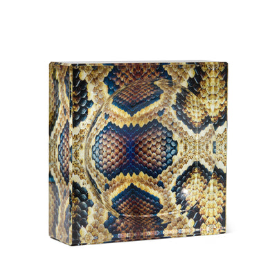 SNAKESKIN...