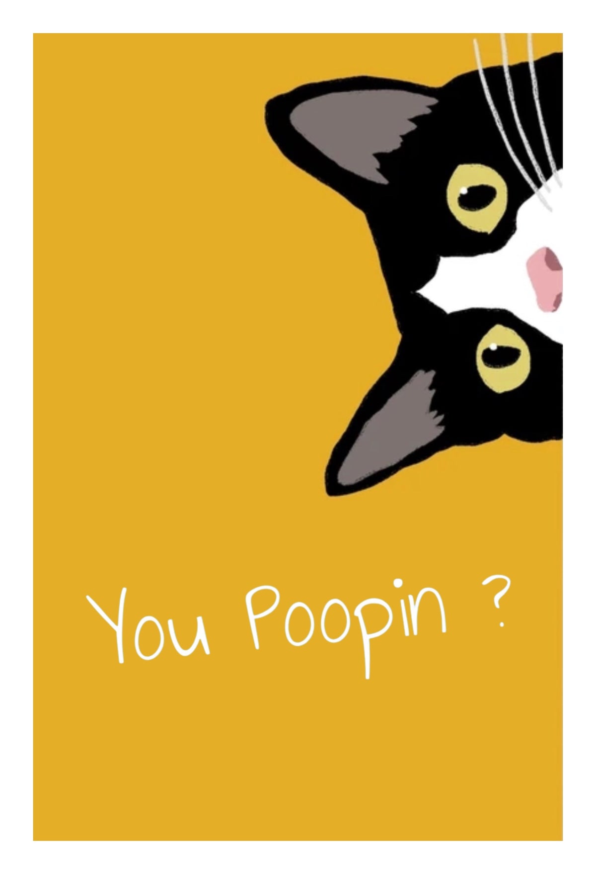 YOU POOPIN' ?  CAT